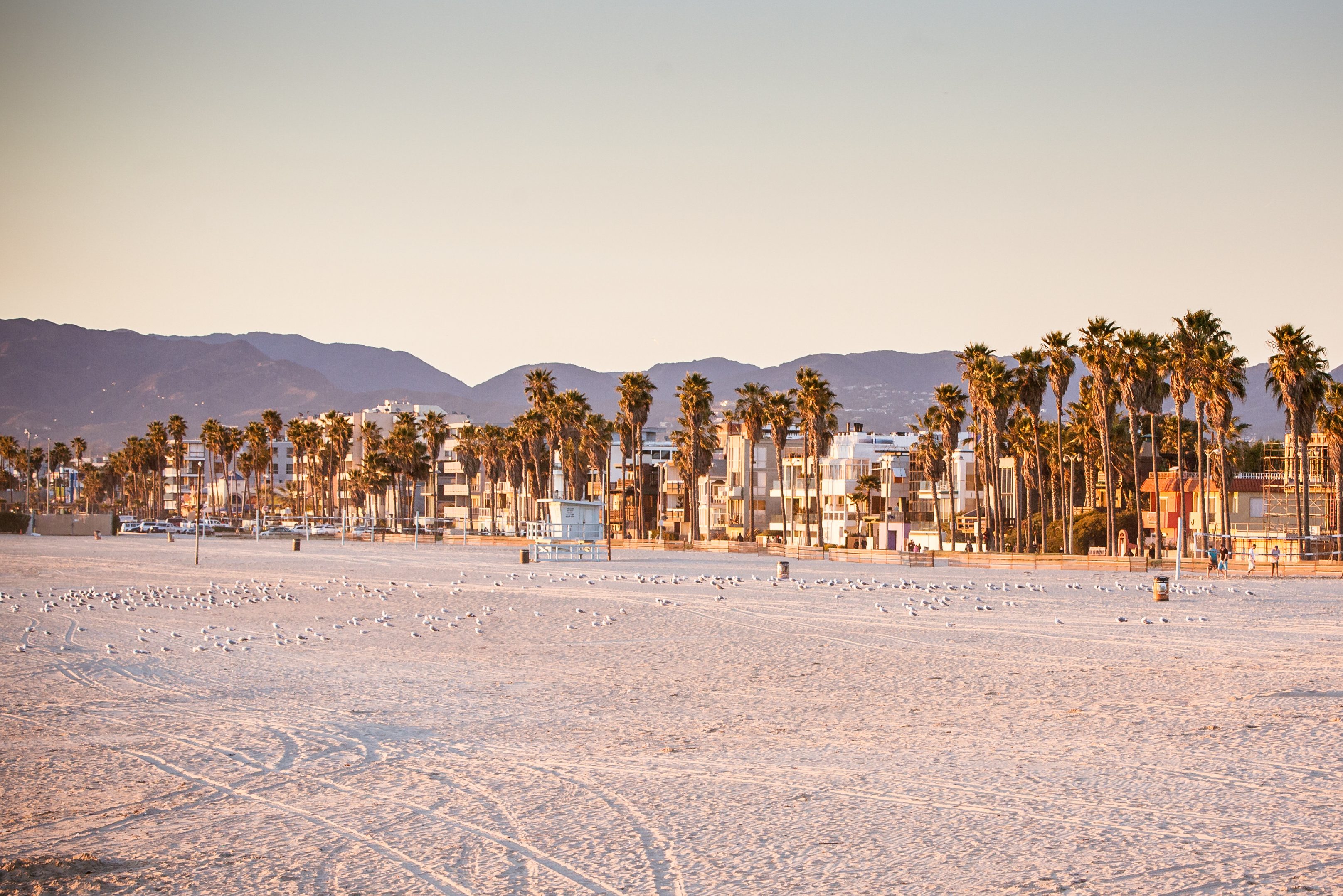 Strand bij Santa Monica