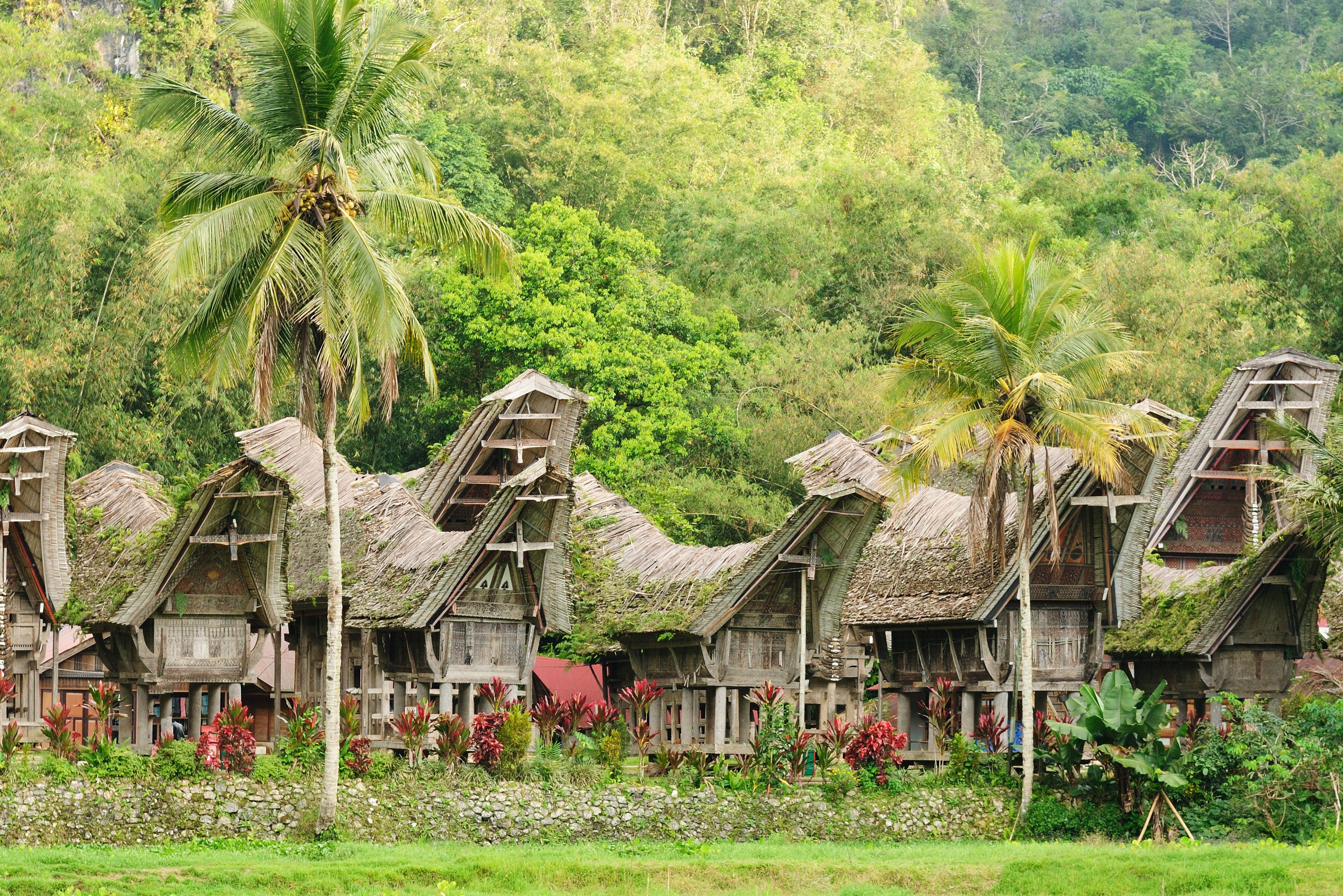 Lokaal dorp in Toraja Hoogland Sulawesi