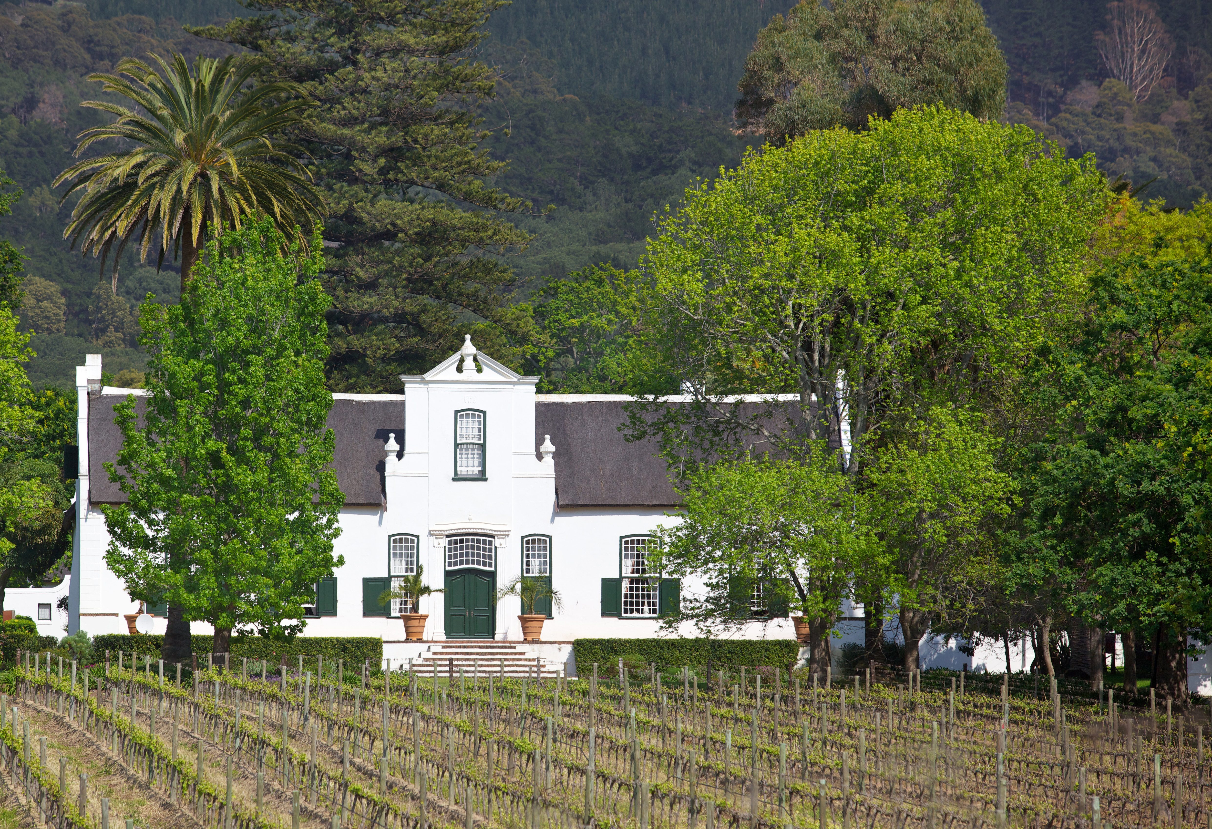 Kaapse Pracht in wijnregio Stellenbosch in Zuid-Afrika