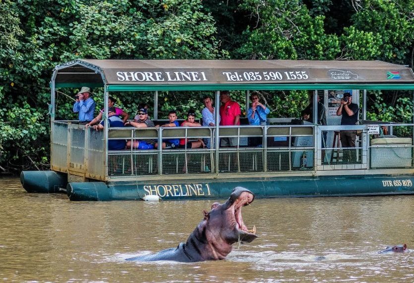 Nijlpaard boottocht in St. Lucia in Zuid-Afrika