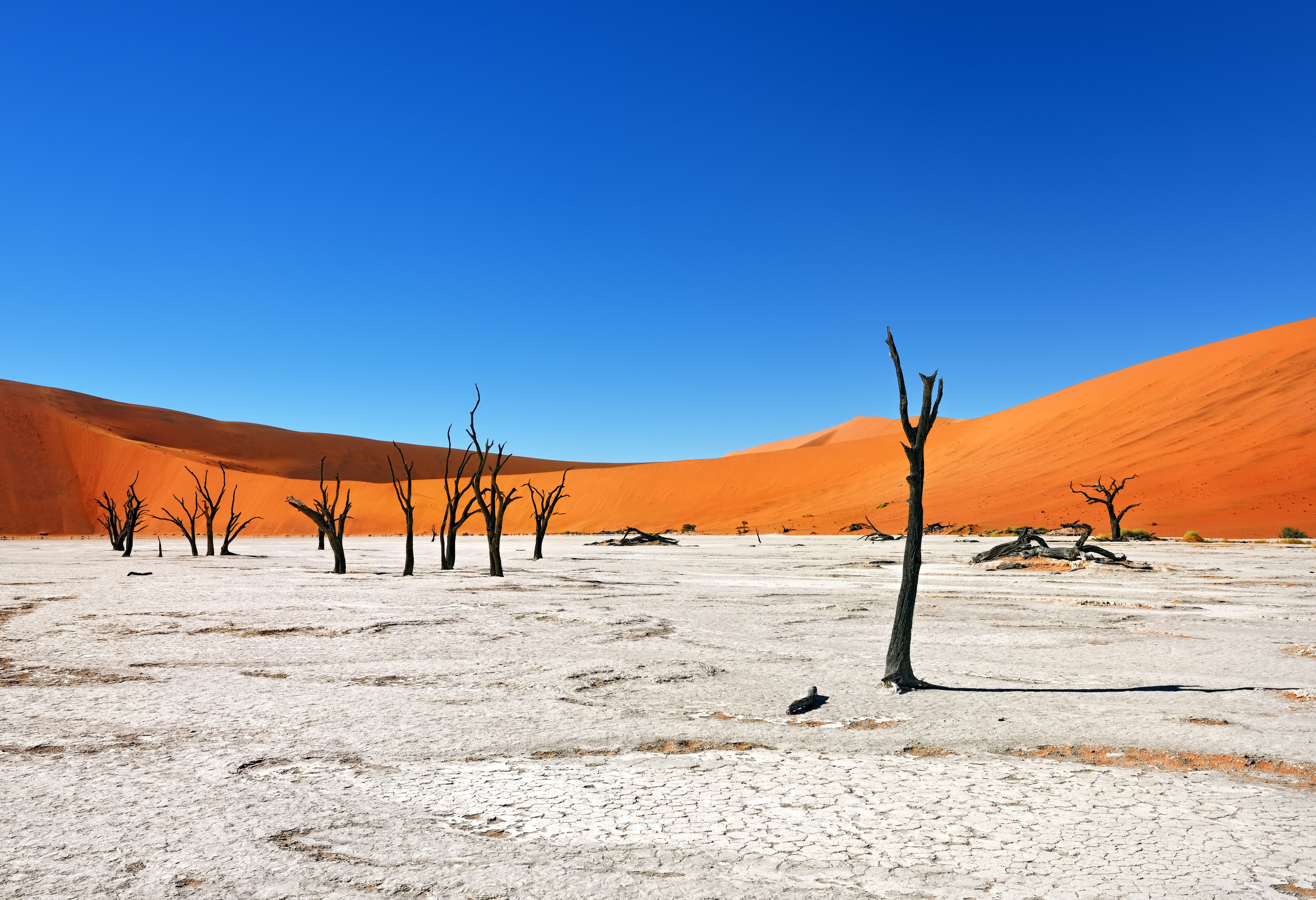 Deadvlei in Sossusvlei in Namibie