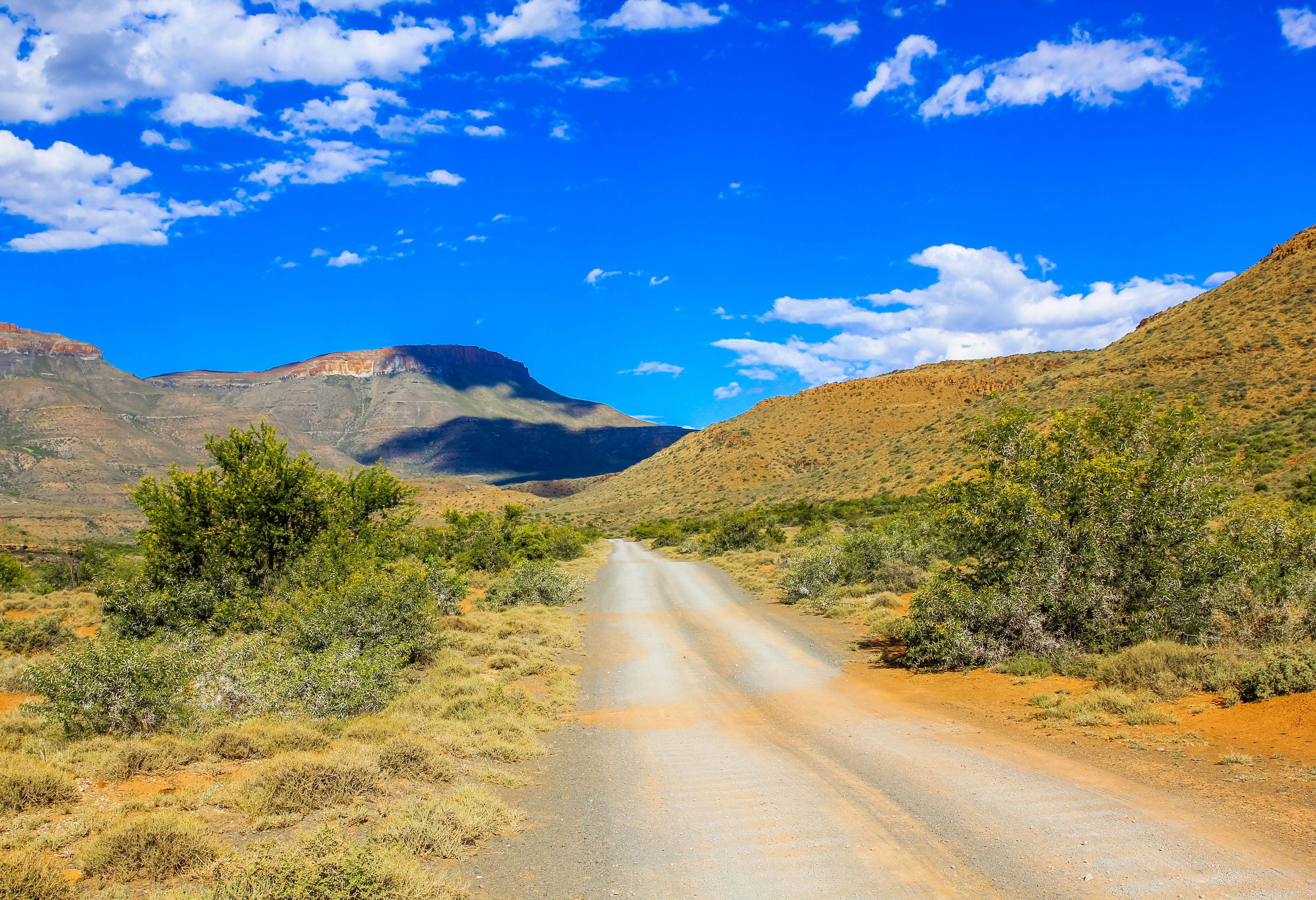 Landschap in Limpopo in Zuid-Afrika