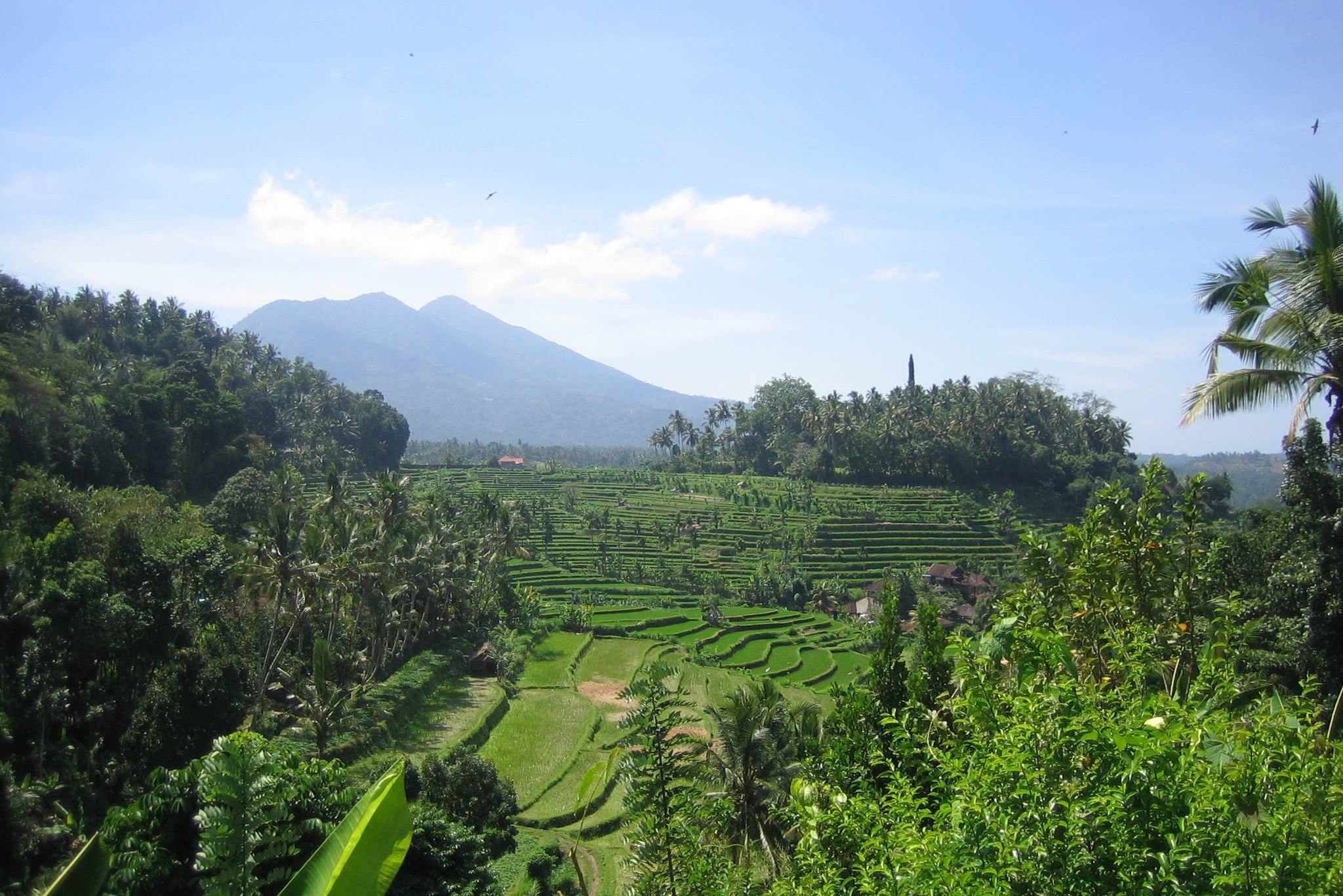 homestay bij Tirtaganga