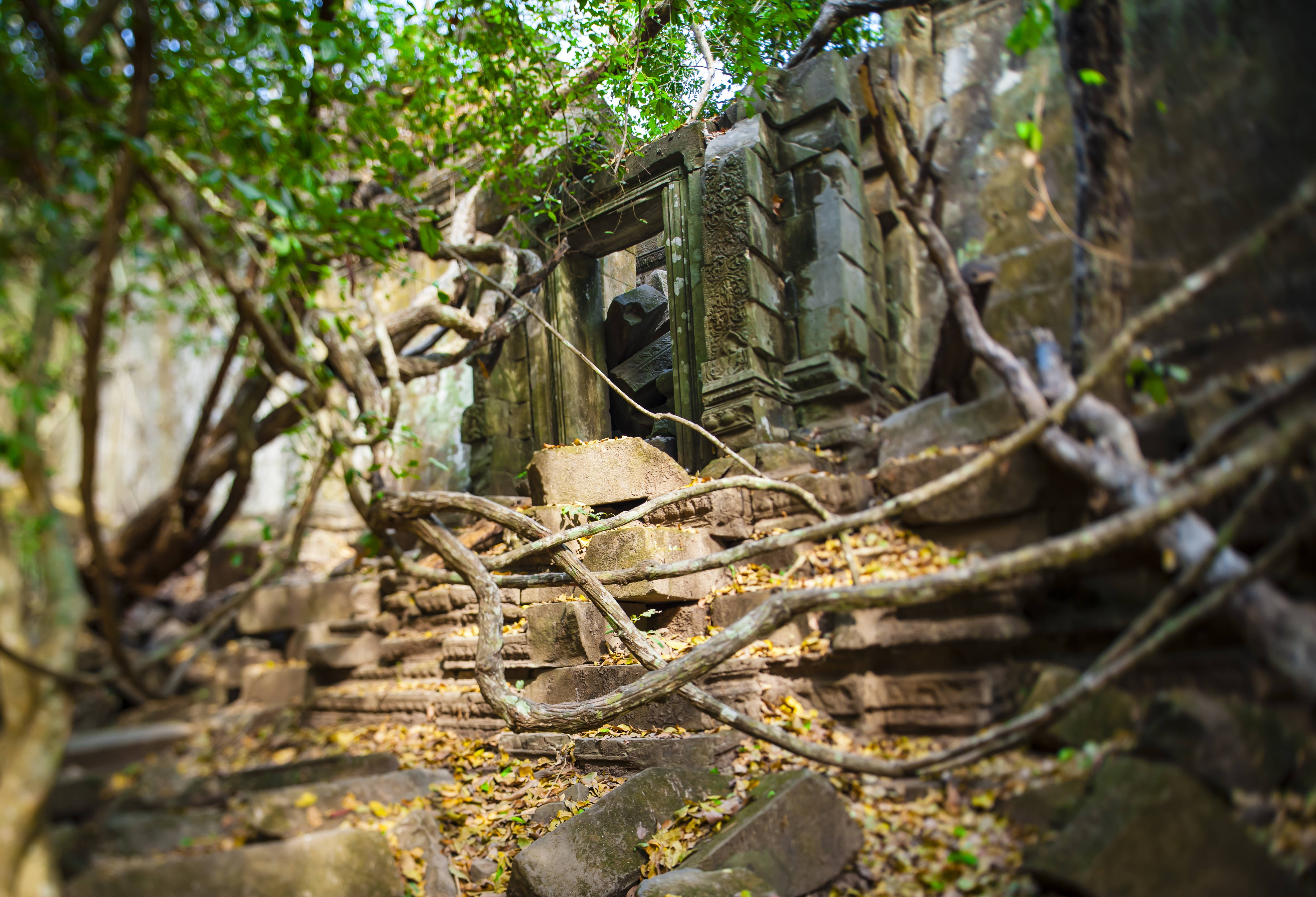 Beng Mealea jungle tempel in het Angkor tempelcomplex in Cambodja