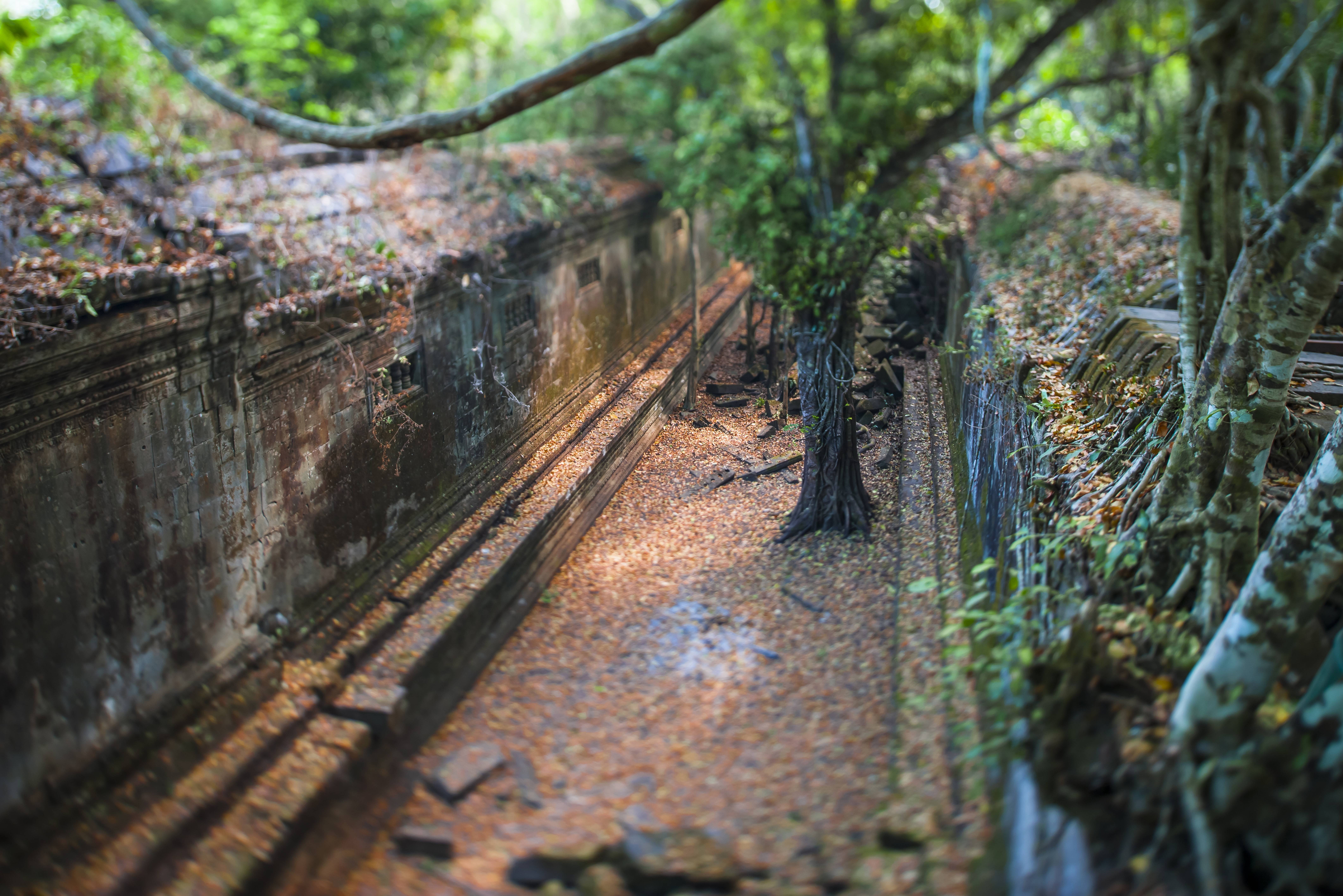 Beng Mealea jungletempel in het Angkor tempelcomplex in Cambodja