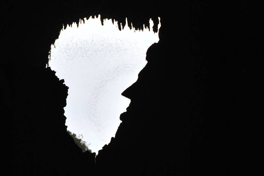 Mulu National Park Sarawak Borneo Deer Cave