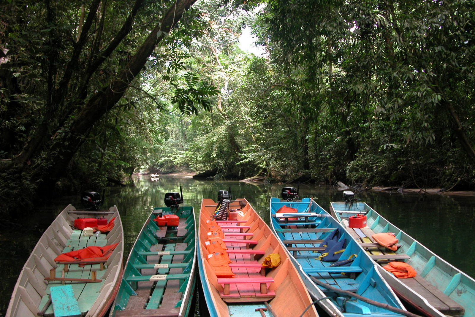 Mulu National Park Sarawak Borneo boottocht