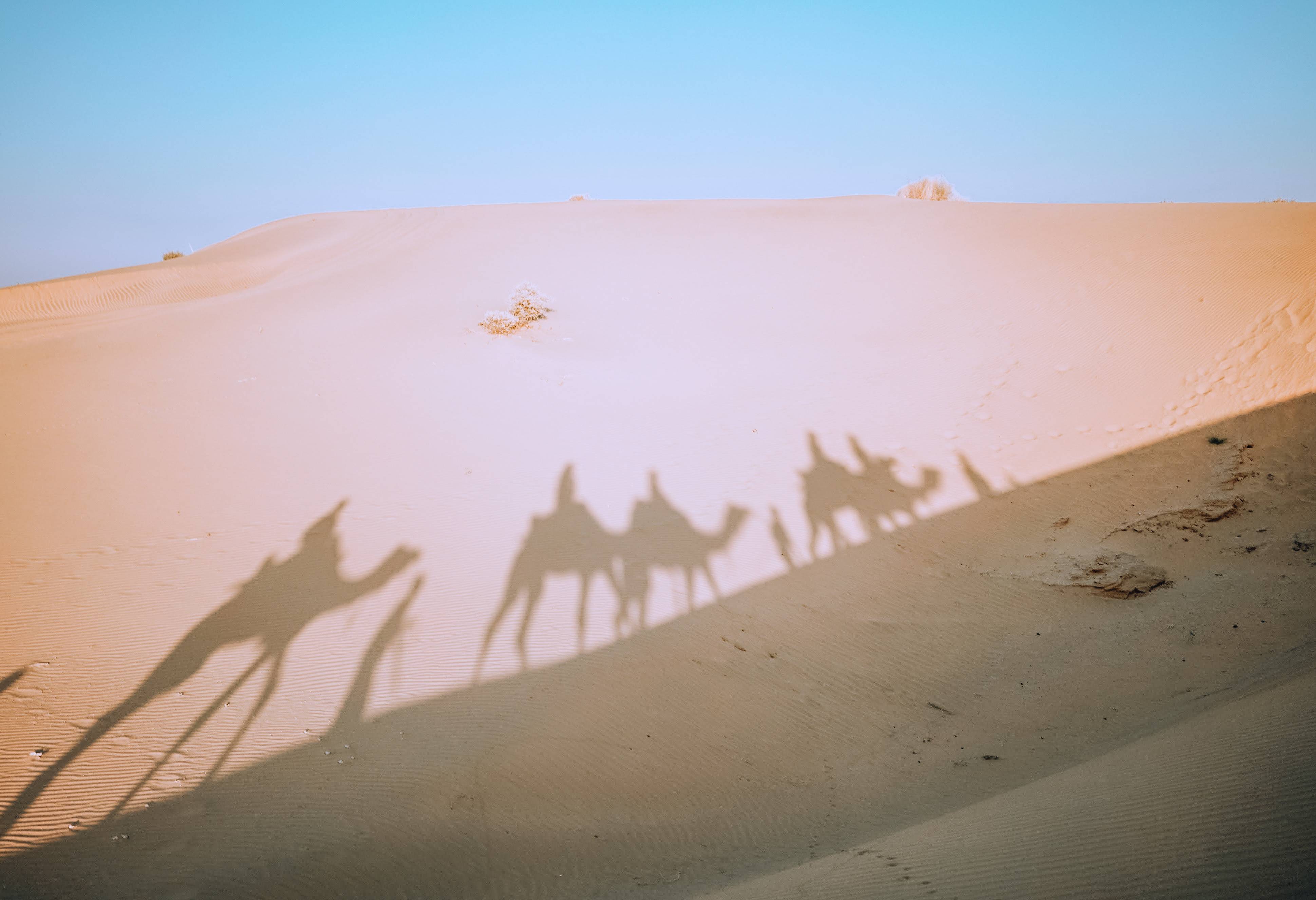 Kameeltocht bij de Sam Diunes in Jaisalmer