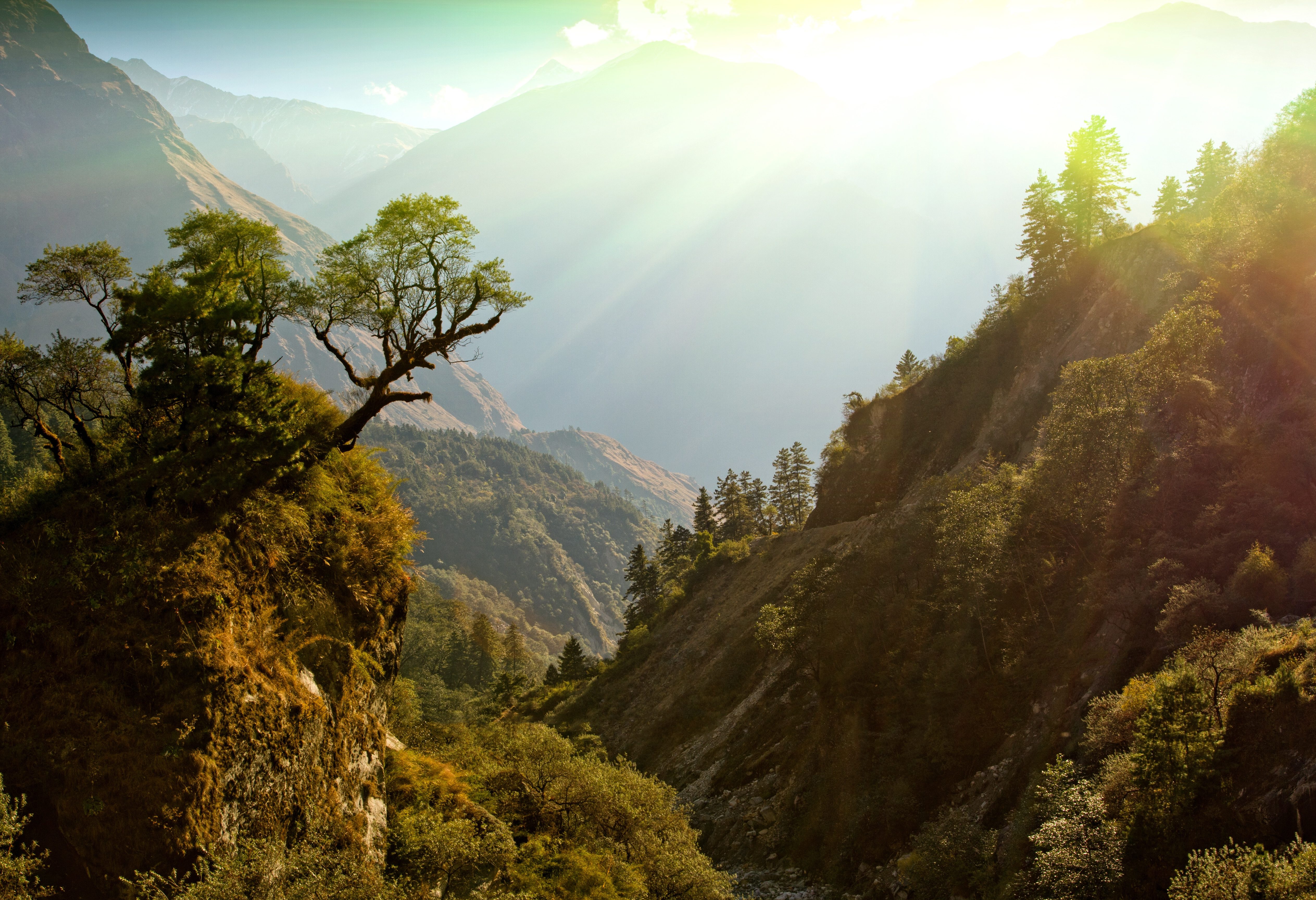 Vallei bij Lumbini in Nepal