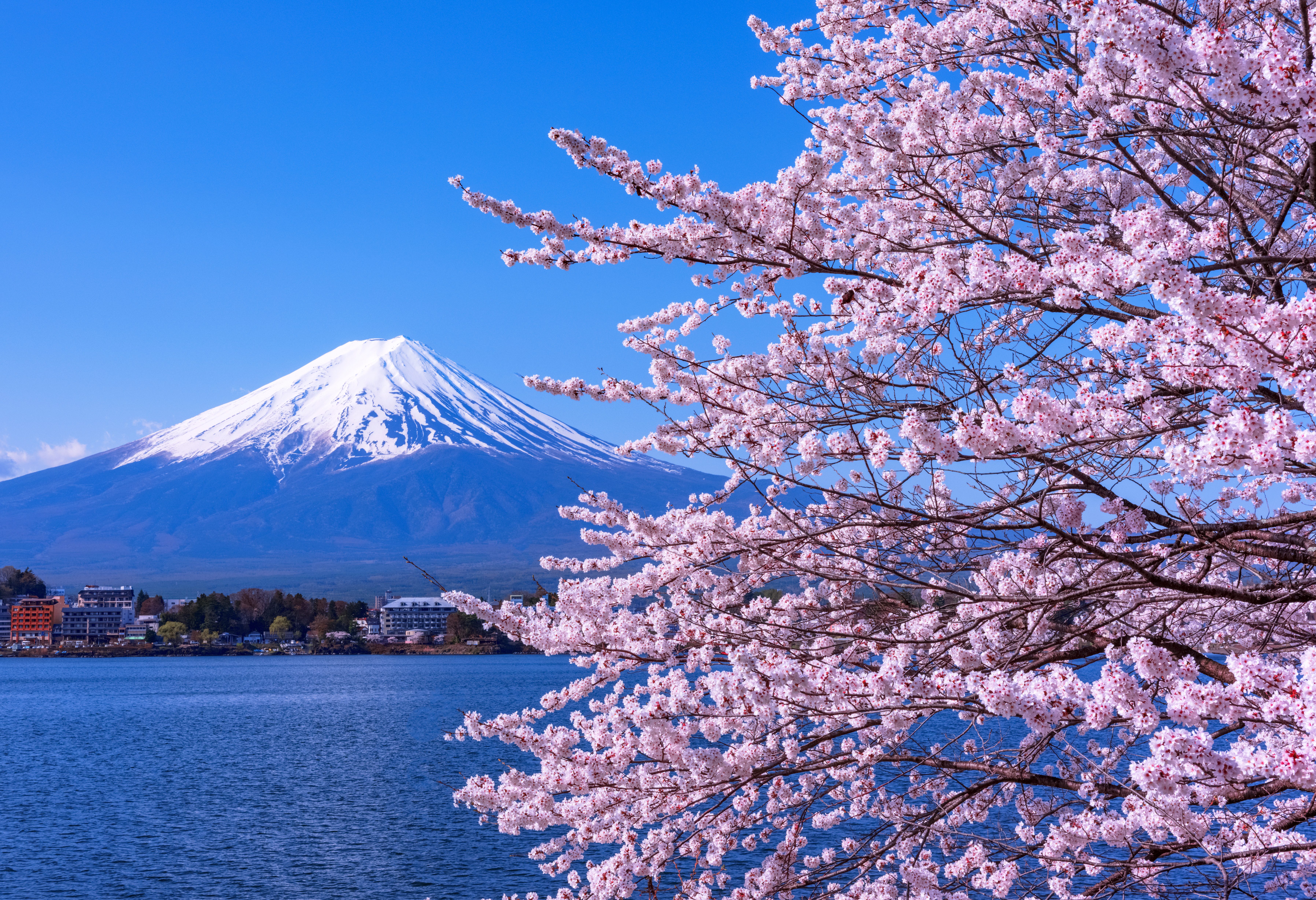 Lake Kawaguchiko met Mount Fuji