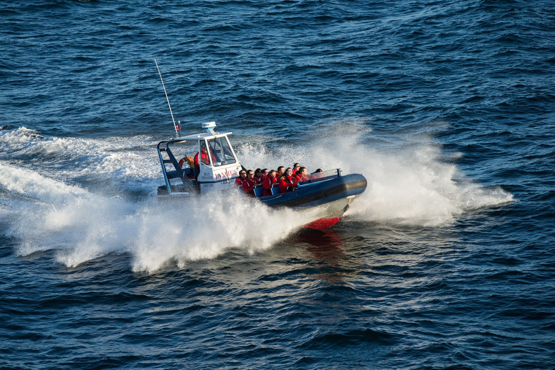 Walvissen spotten bij Tofino op Vancouver Island