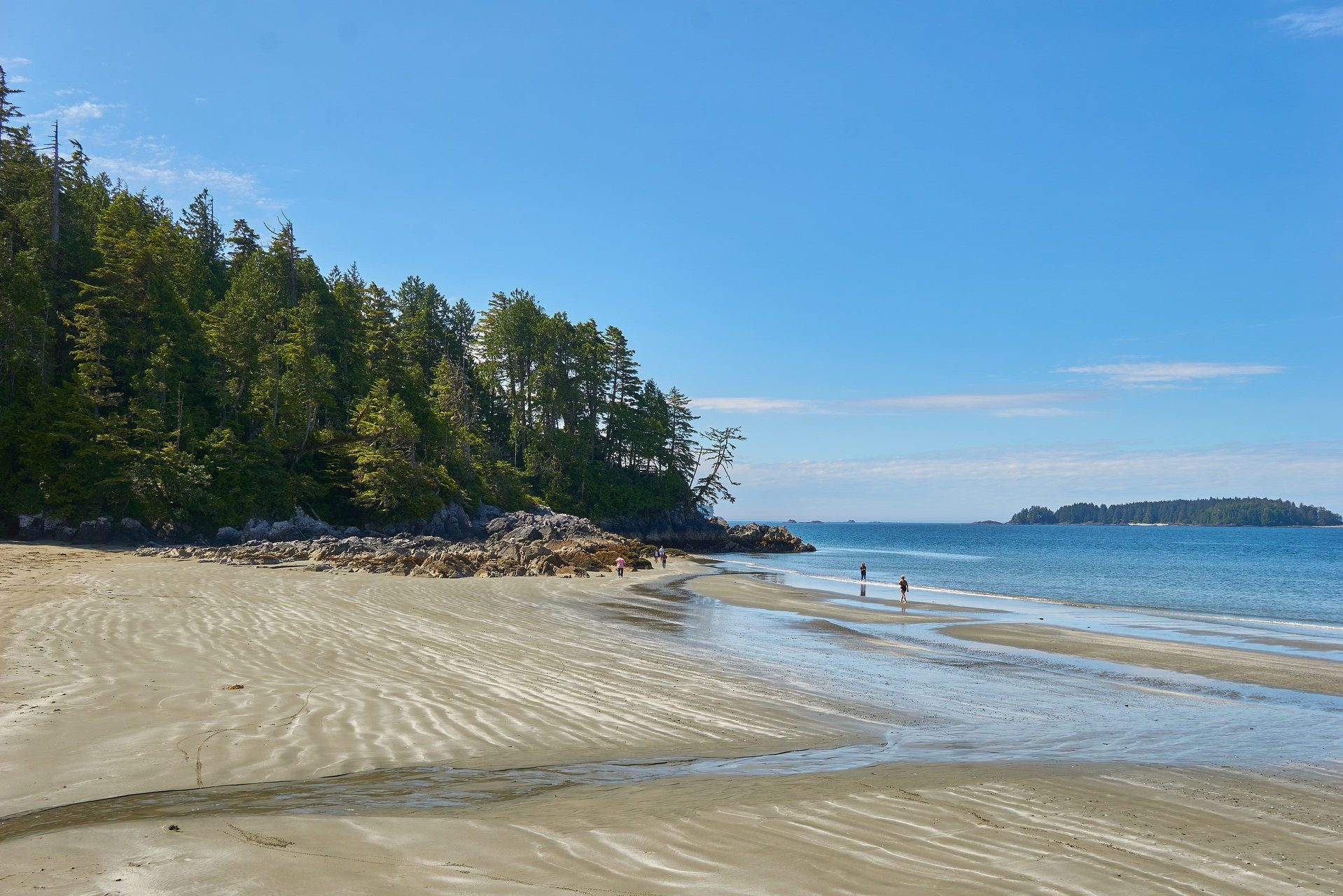Kajakken bij Tofino op Vancouver Island
