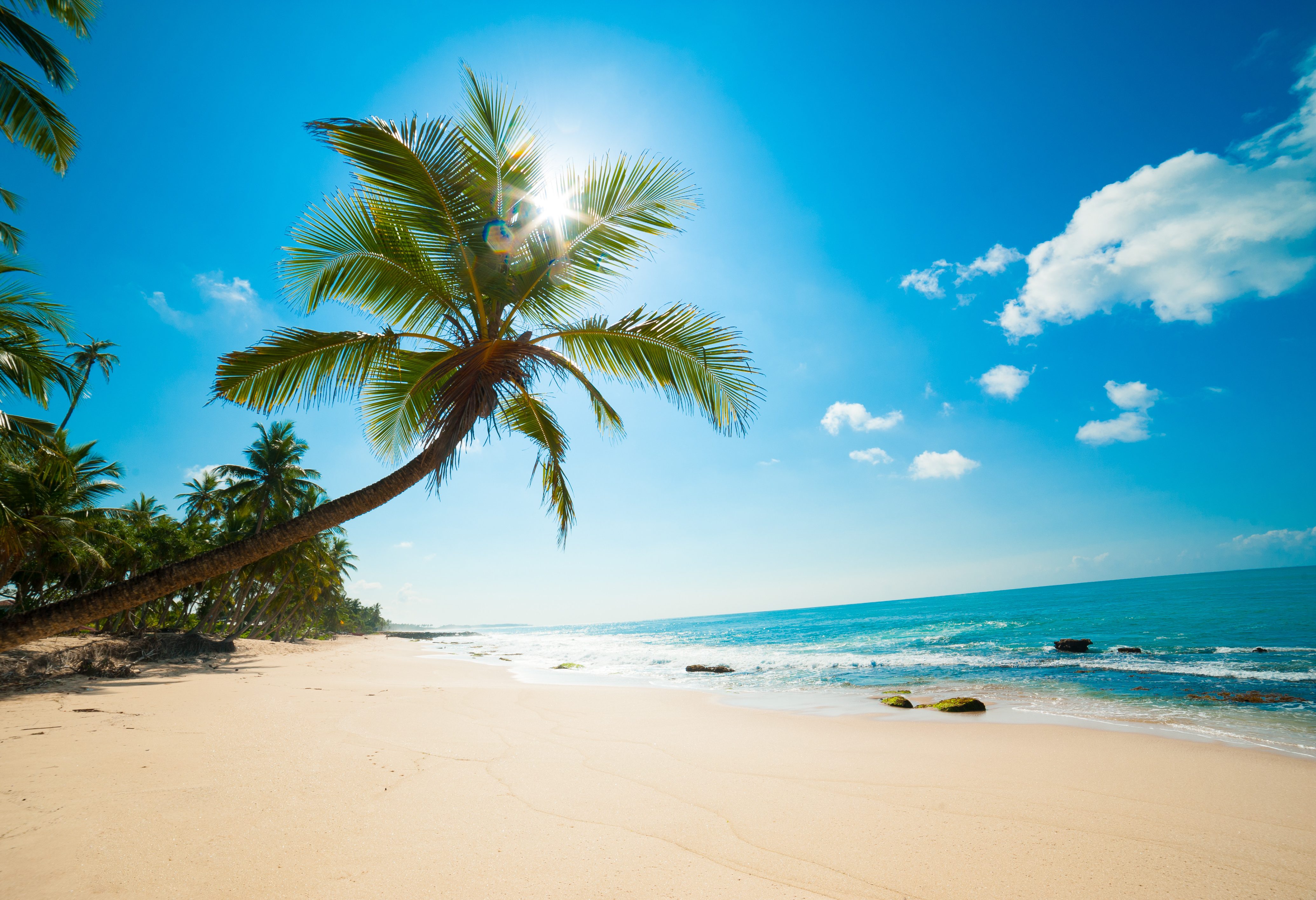 Tropisch strand in Sri Lanka