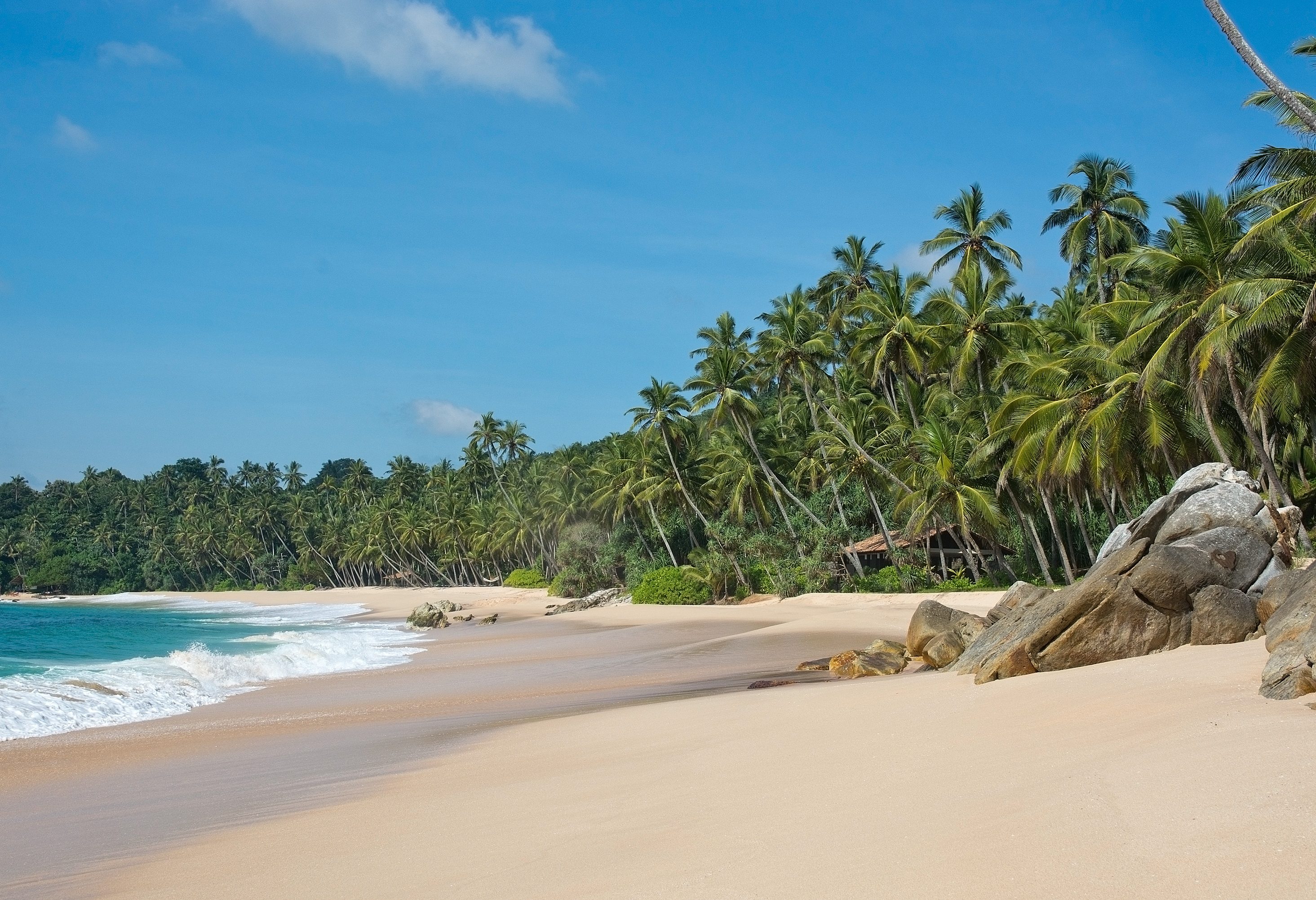 Tropisch strand bij Mirissa in Sri Lanka