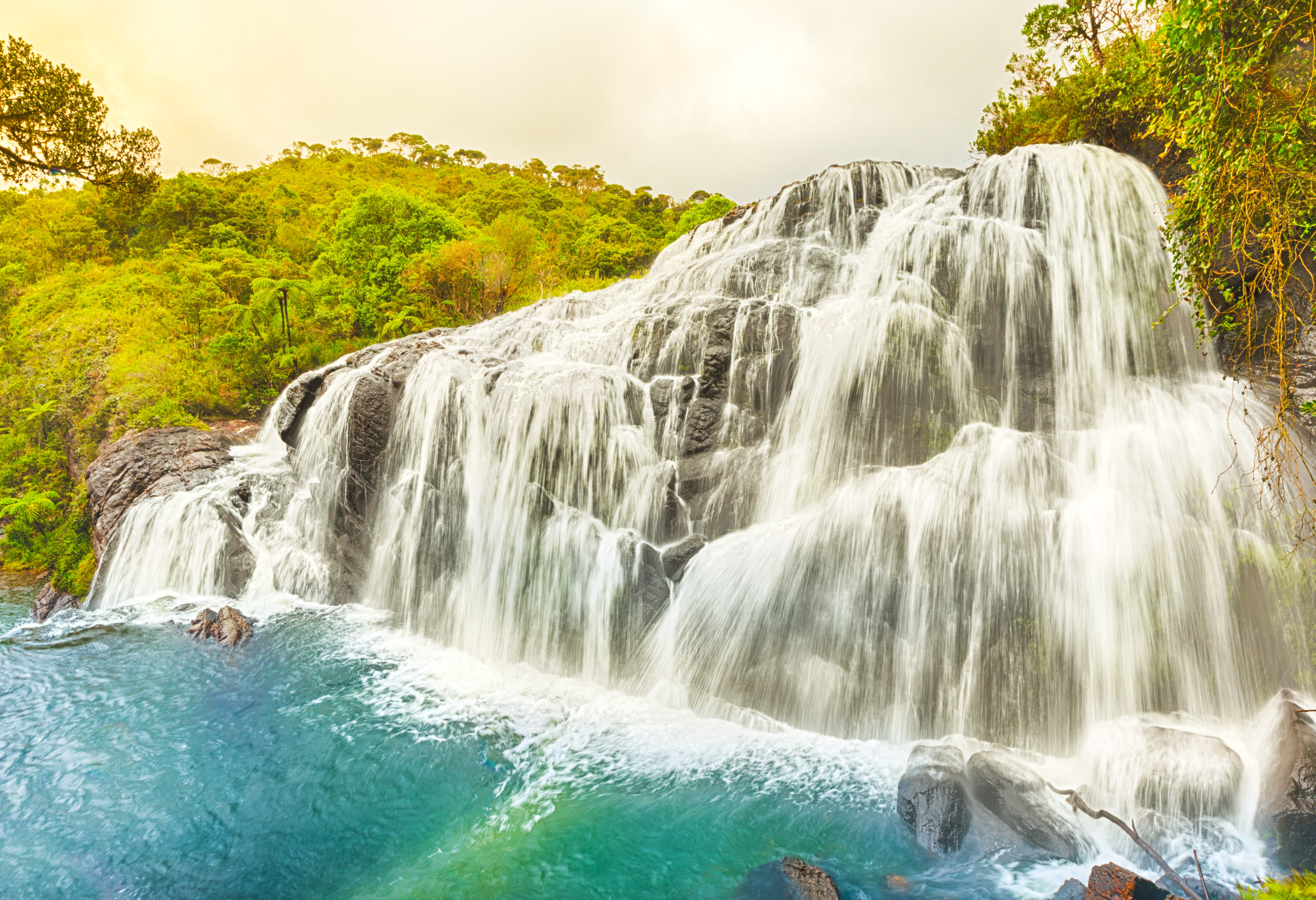 Horton Plains bij Nuwara Eliya
