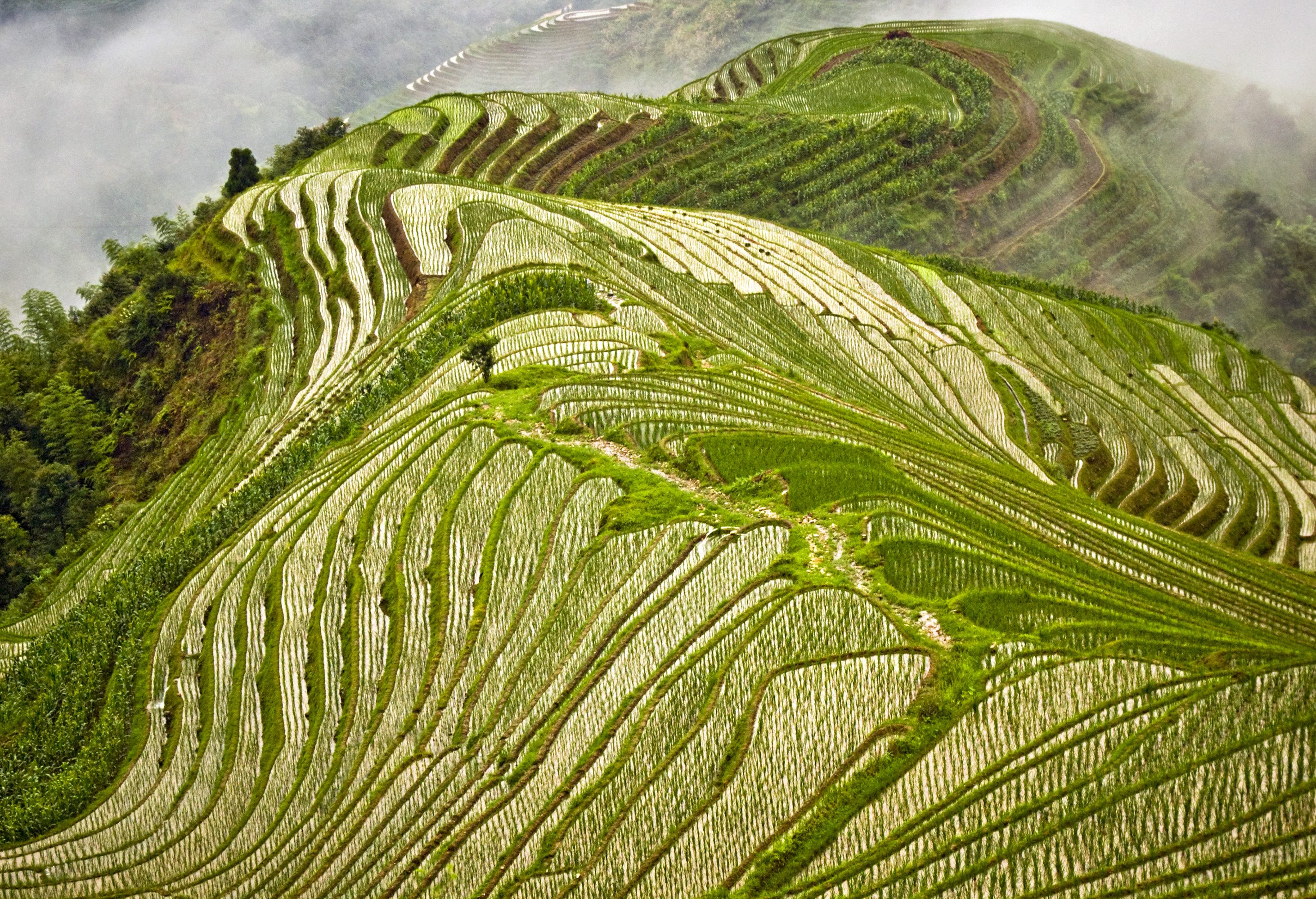 De Drakensrug rijstvelden bij Pingan in China