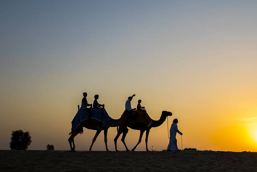 Kameelrijden in de woestijn van Dubai