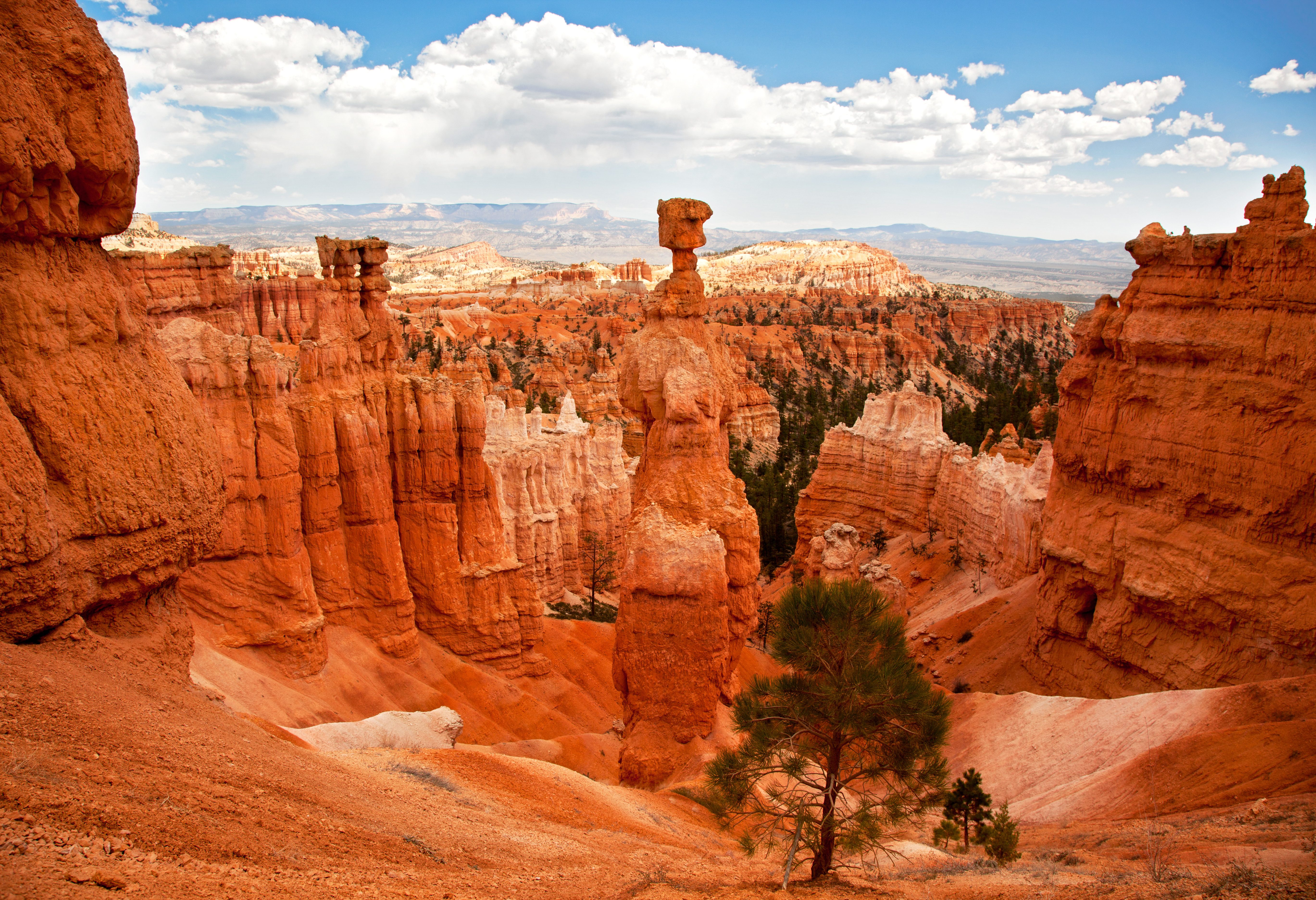 Bryce Canyon in Amerika