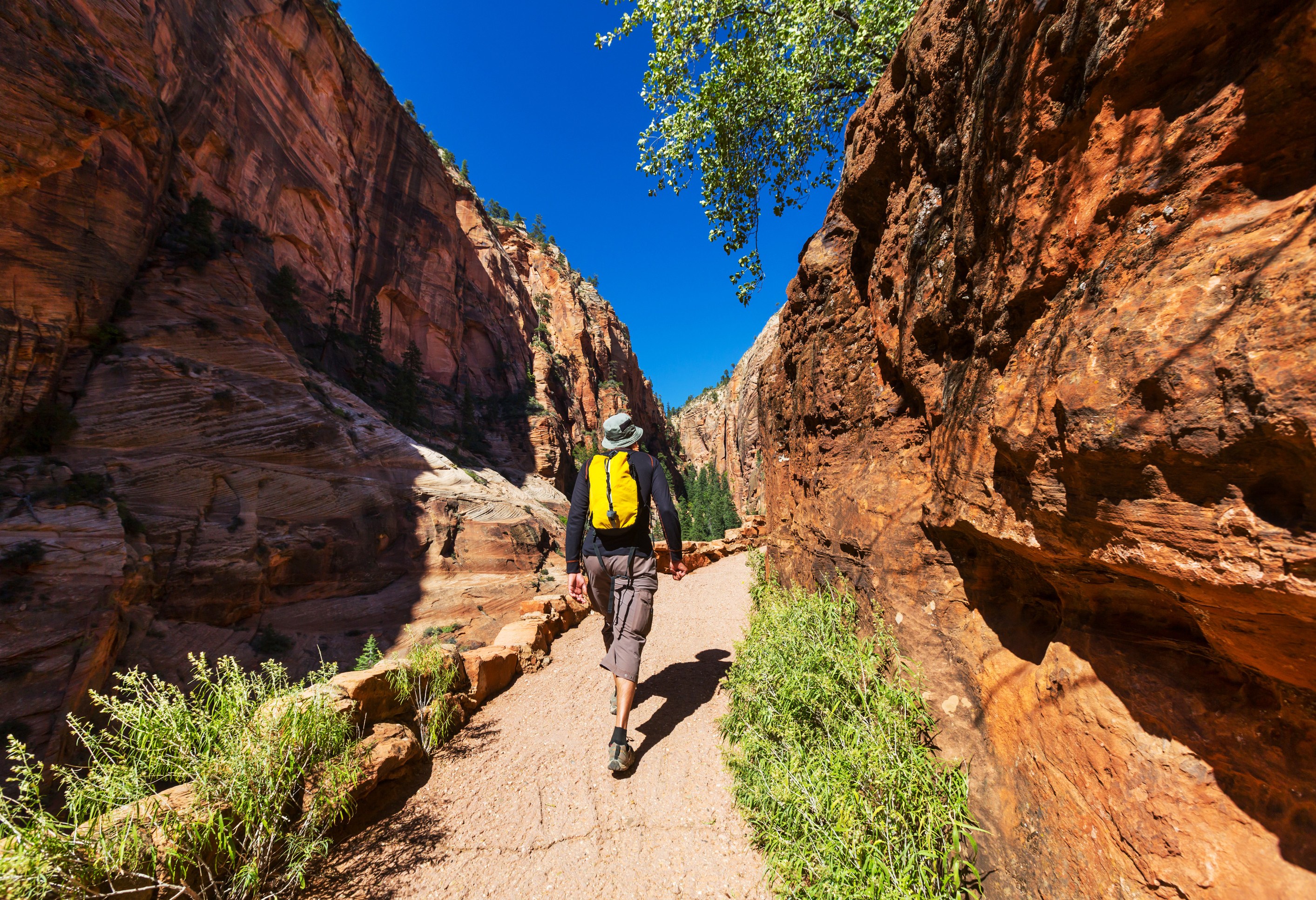 Wandelaar in Zion National Park