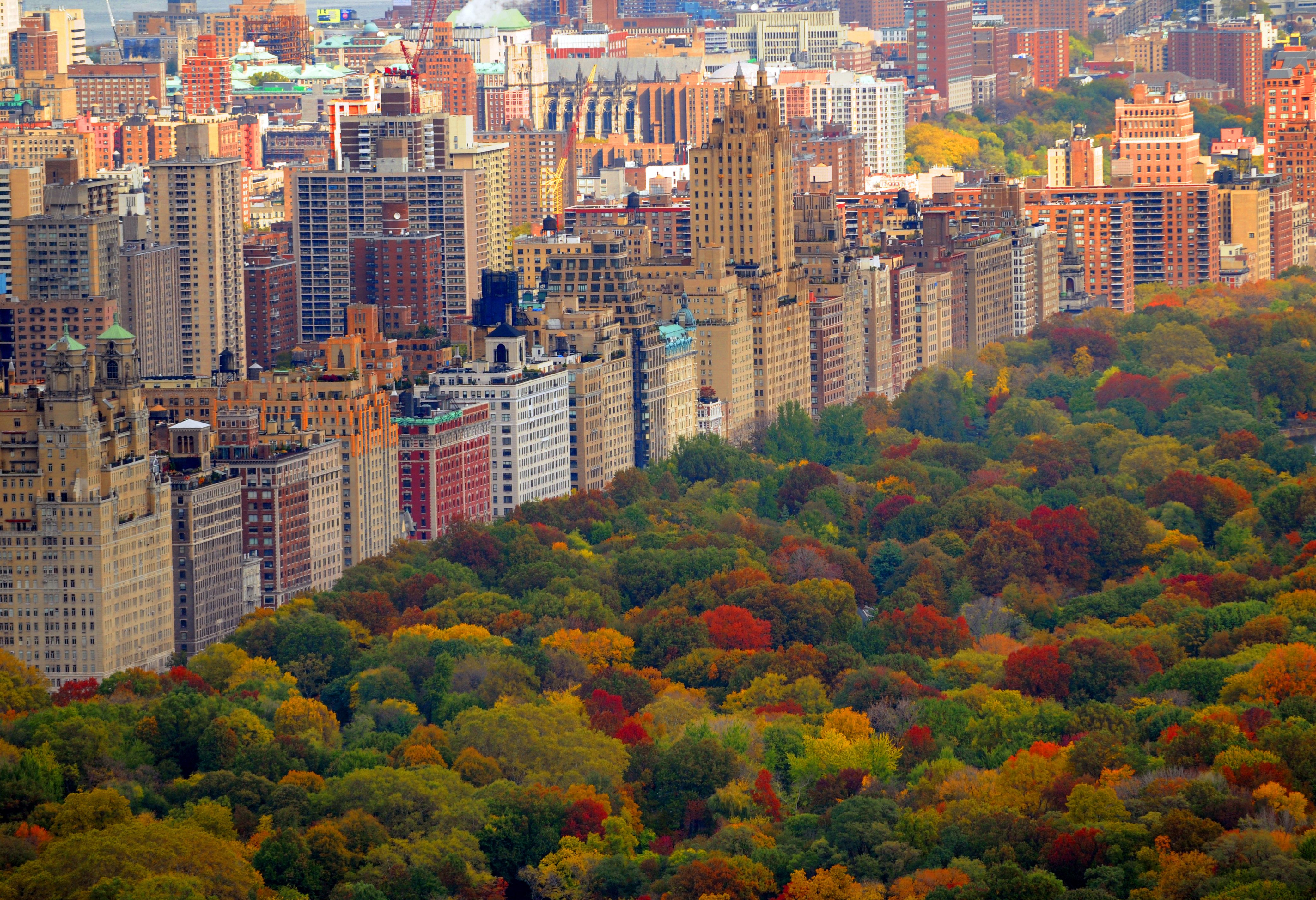 Manhattan en Central Park in New York