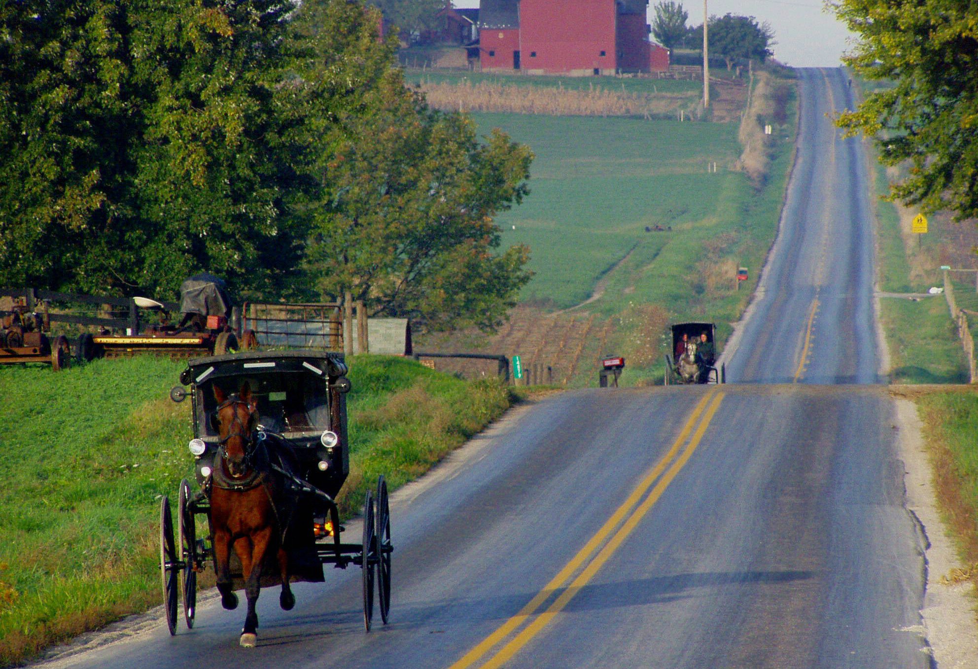 Paard en Wagen bij Amish country