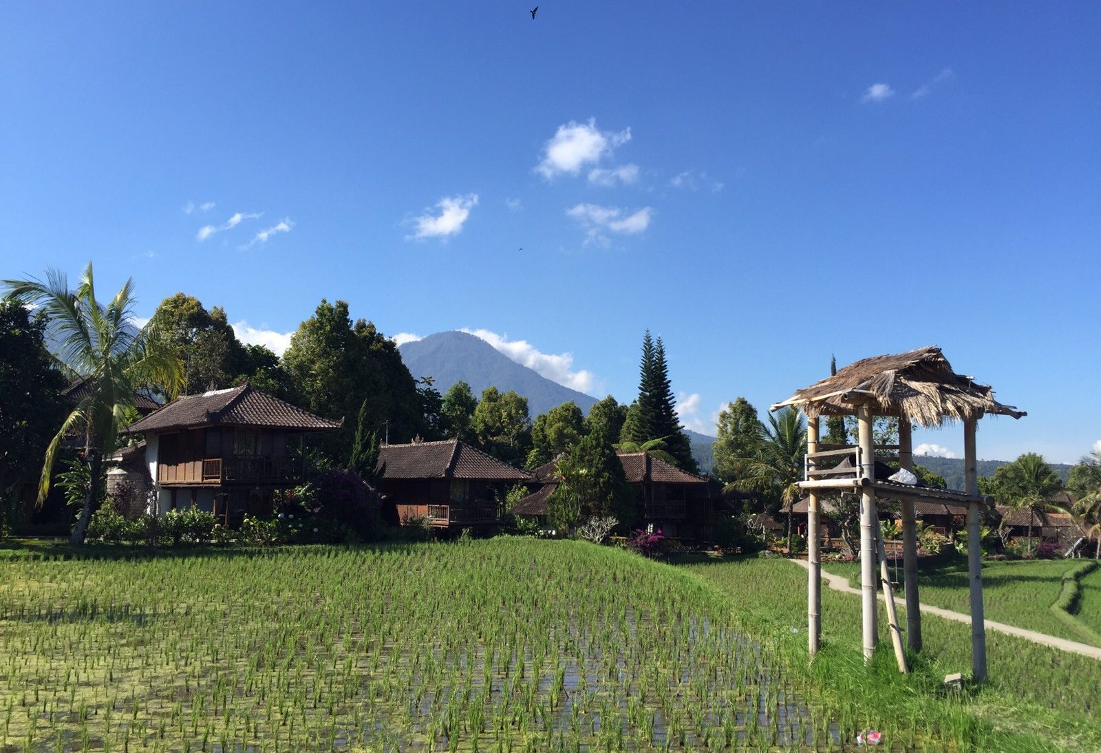 Puri Lumbung Cottages Munduk Bali