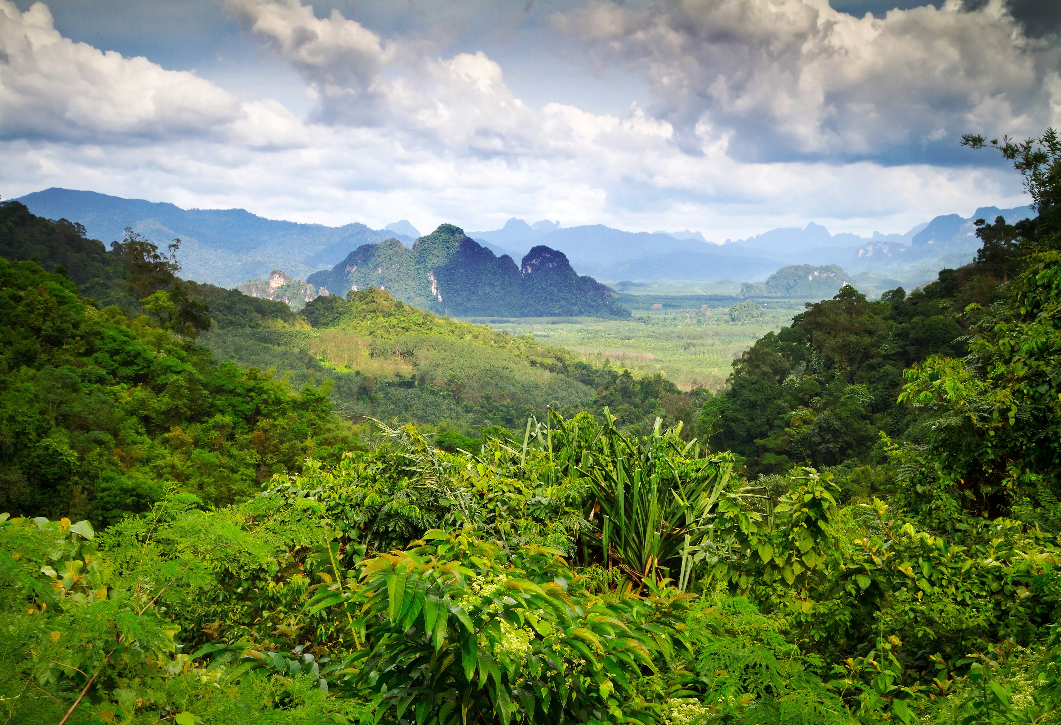 Uitzicht over het Khao Sok National Park in Thailand