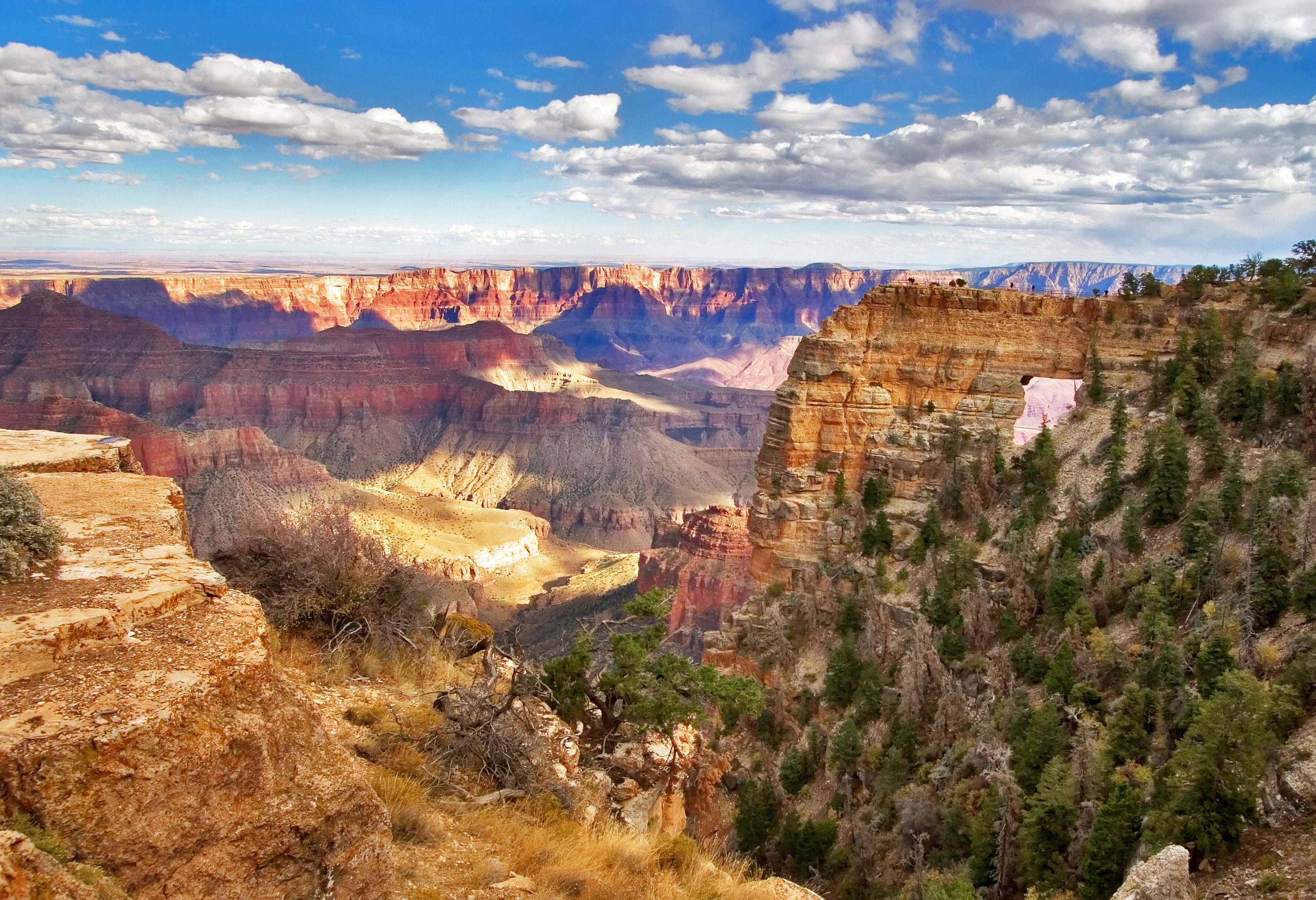 Panorama over de Grand Canyon in Amerika