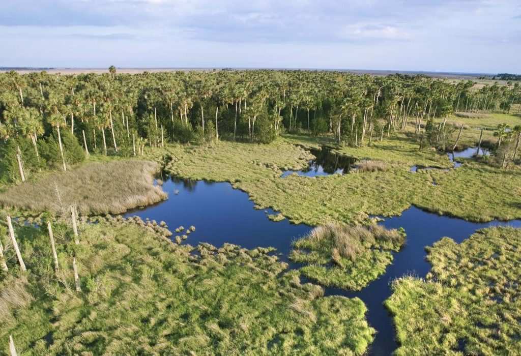 Everglades National Park in Florida