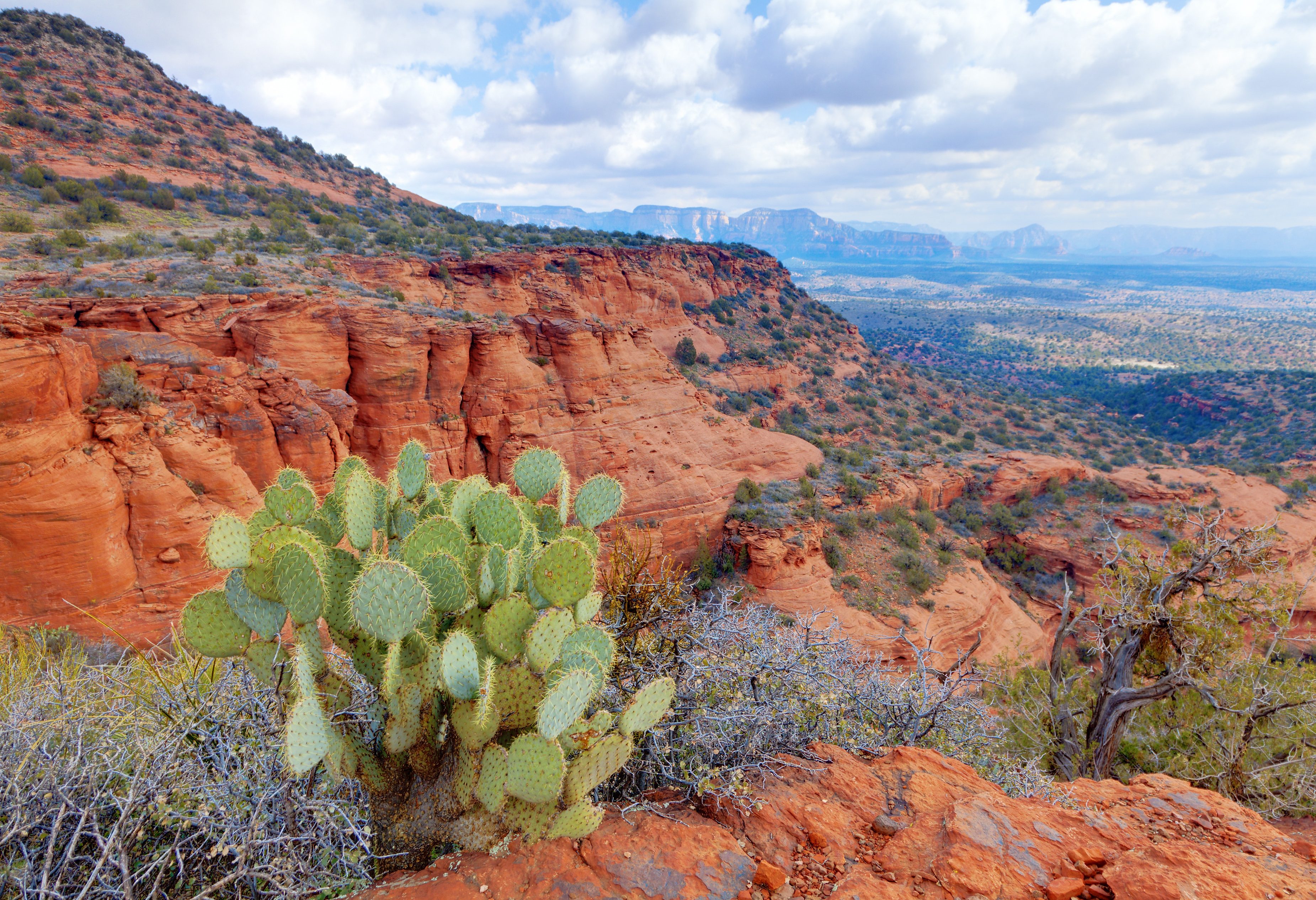 Red Rock Part in Sedona in Arizona