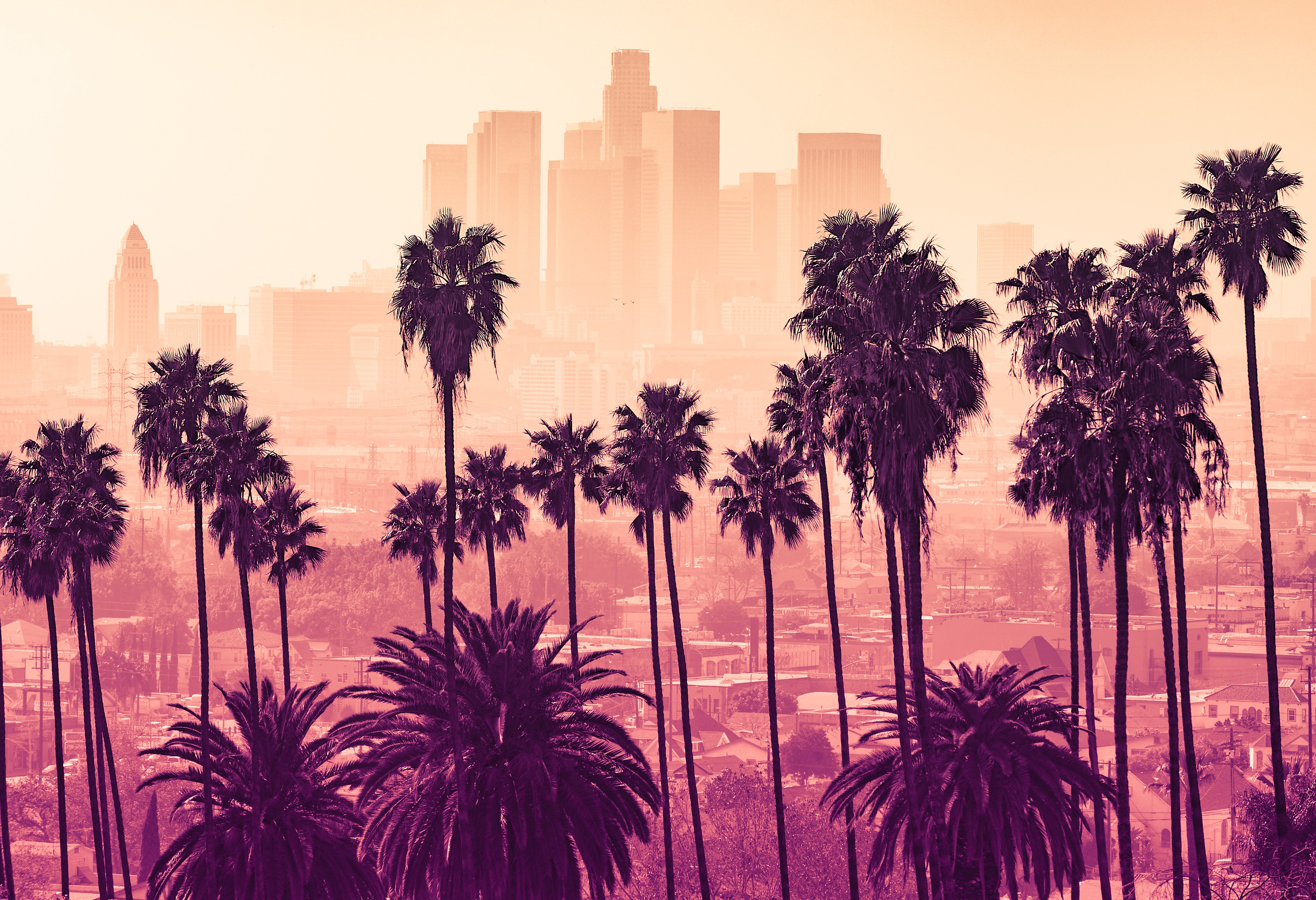 Skyline in Los Angeles