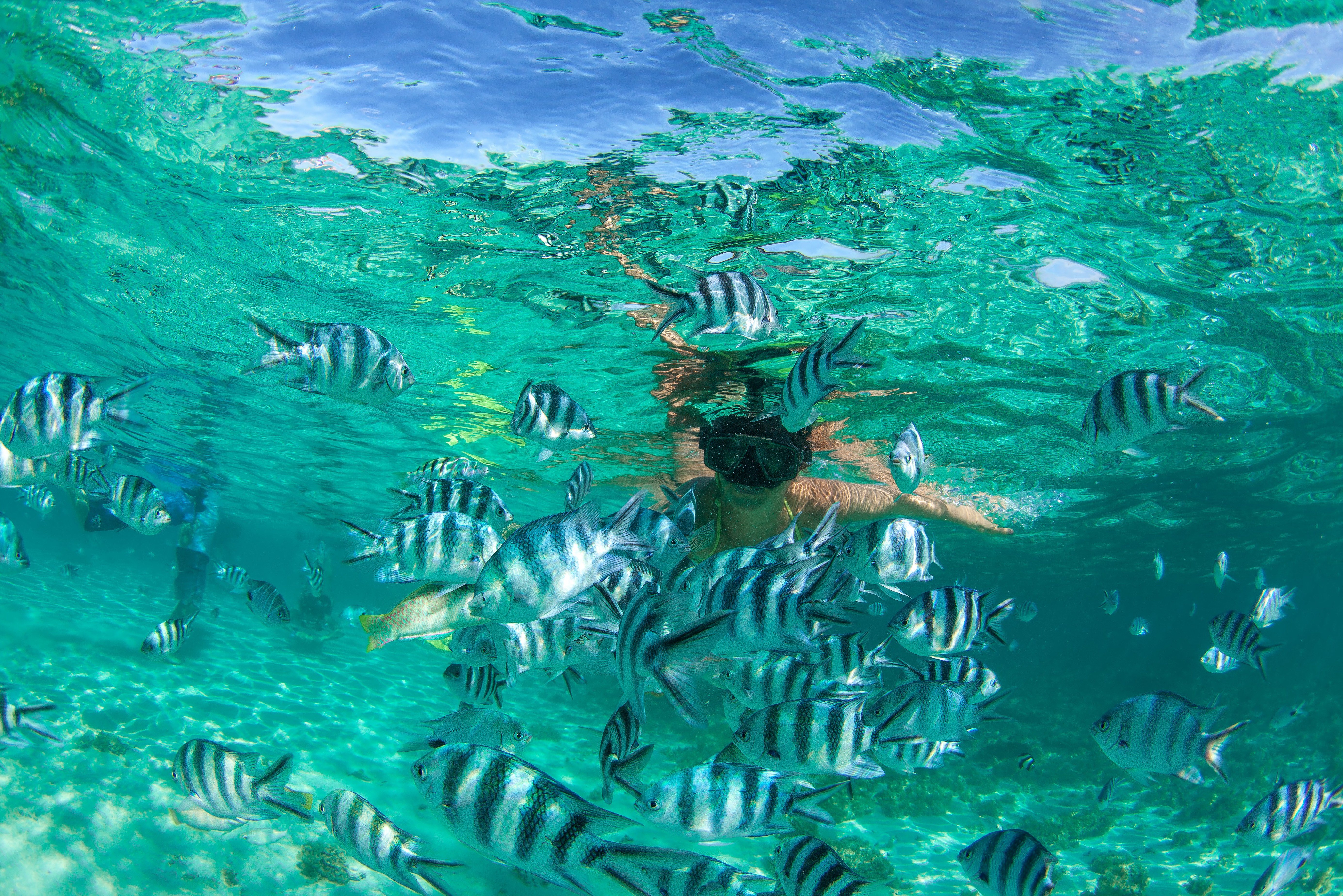 Snorkelen op Mauritius