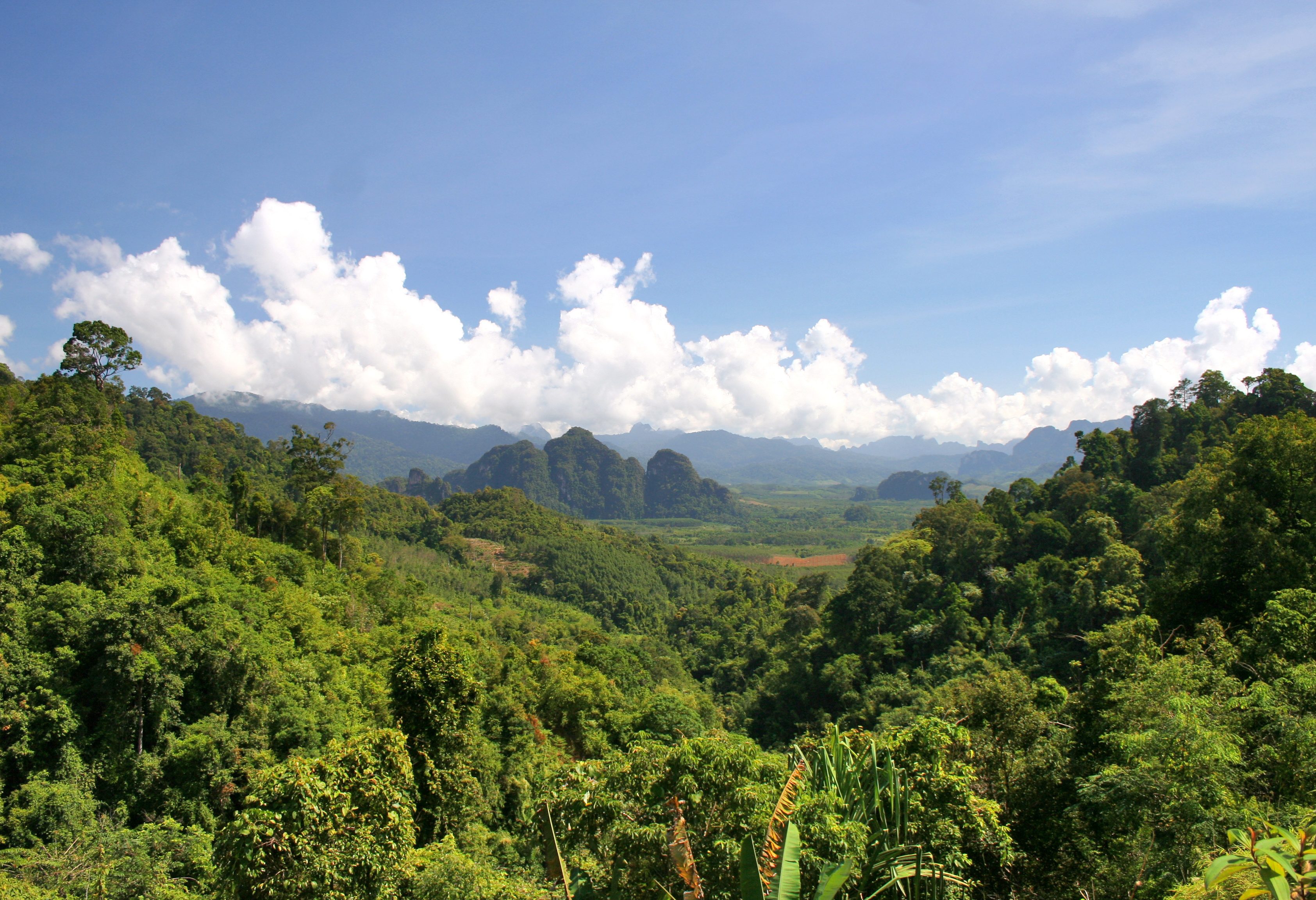 Uitzicht over het Khao Sok National Park in Thailand