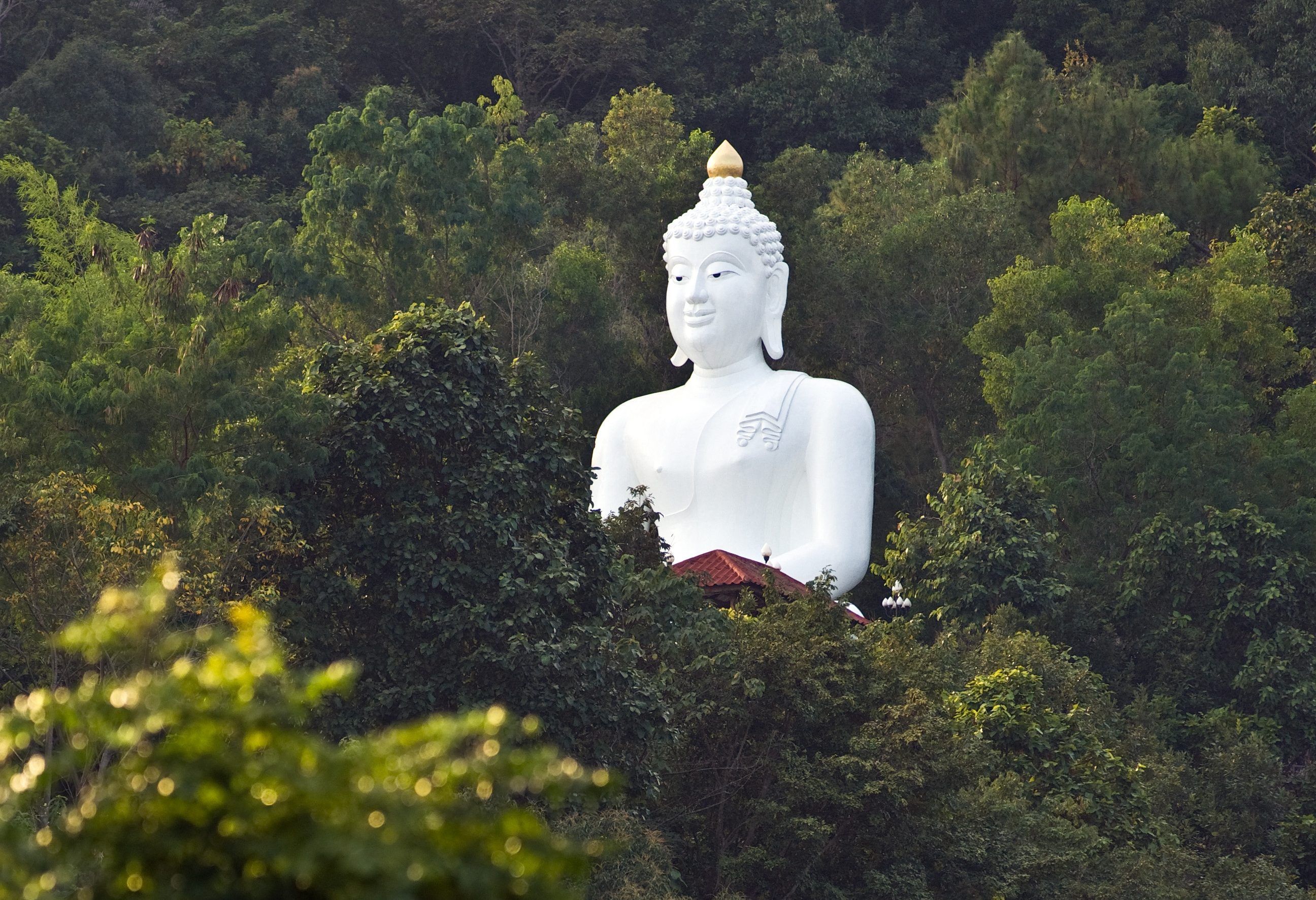 Wat Thaton met de Phra Buddha Nirandornchai in Thailand