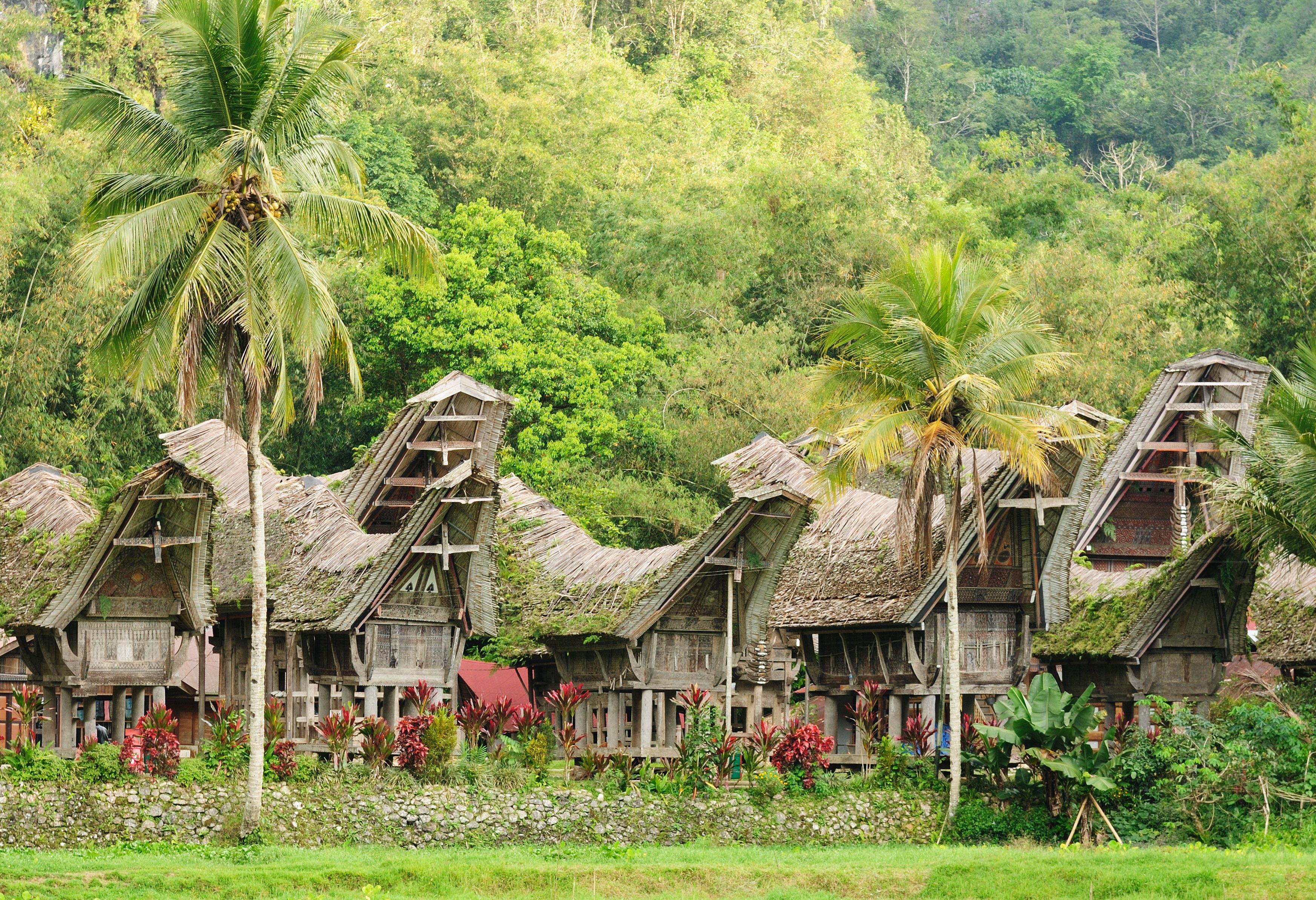 Kete Kesu traditioneel dorp Toraja hoogland Sulawesi