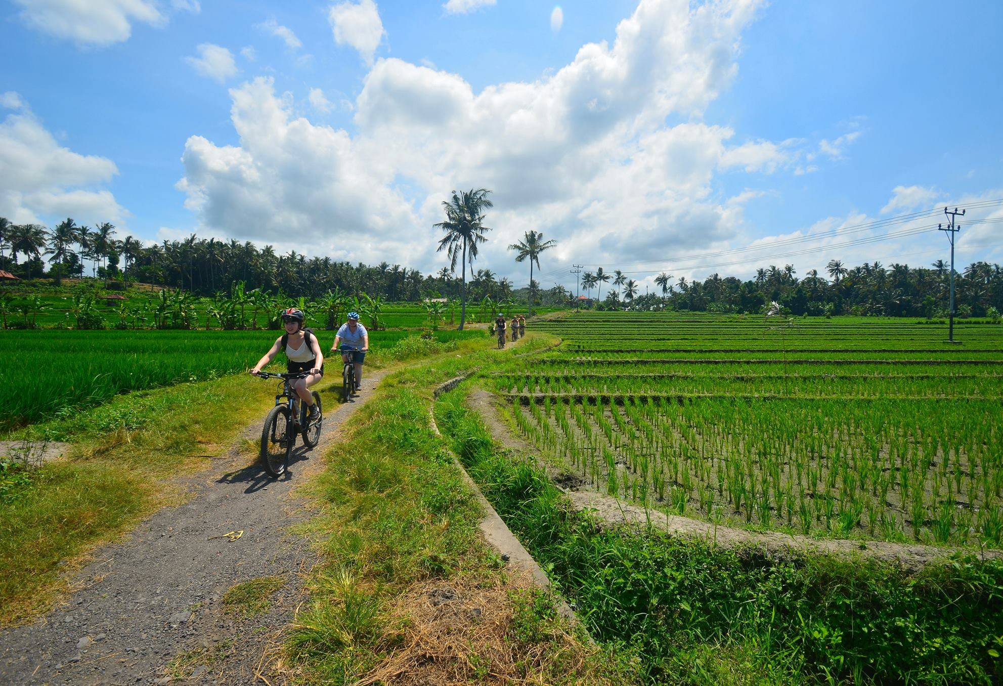 Fietsen in Ubud op Bali