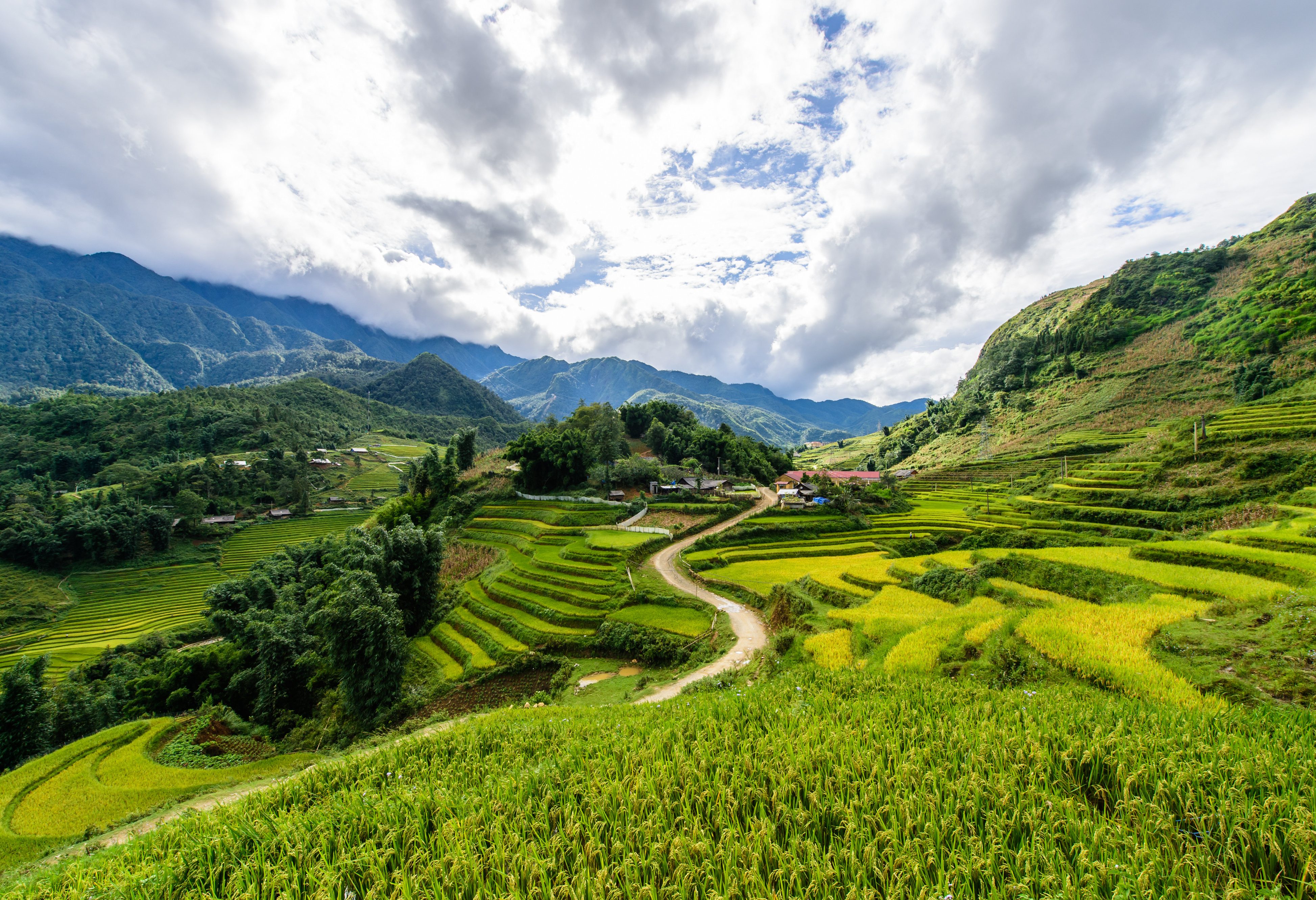 Wandelen tussen de rijstterrassen in de regio Sapa in Vietnam