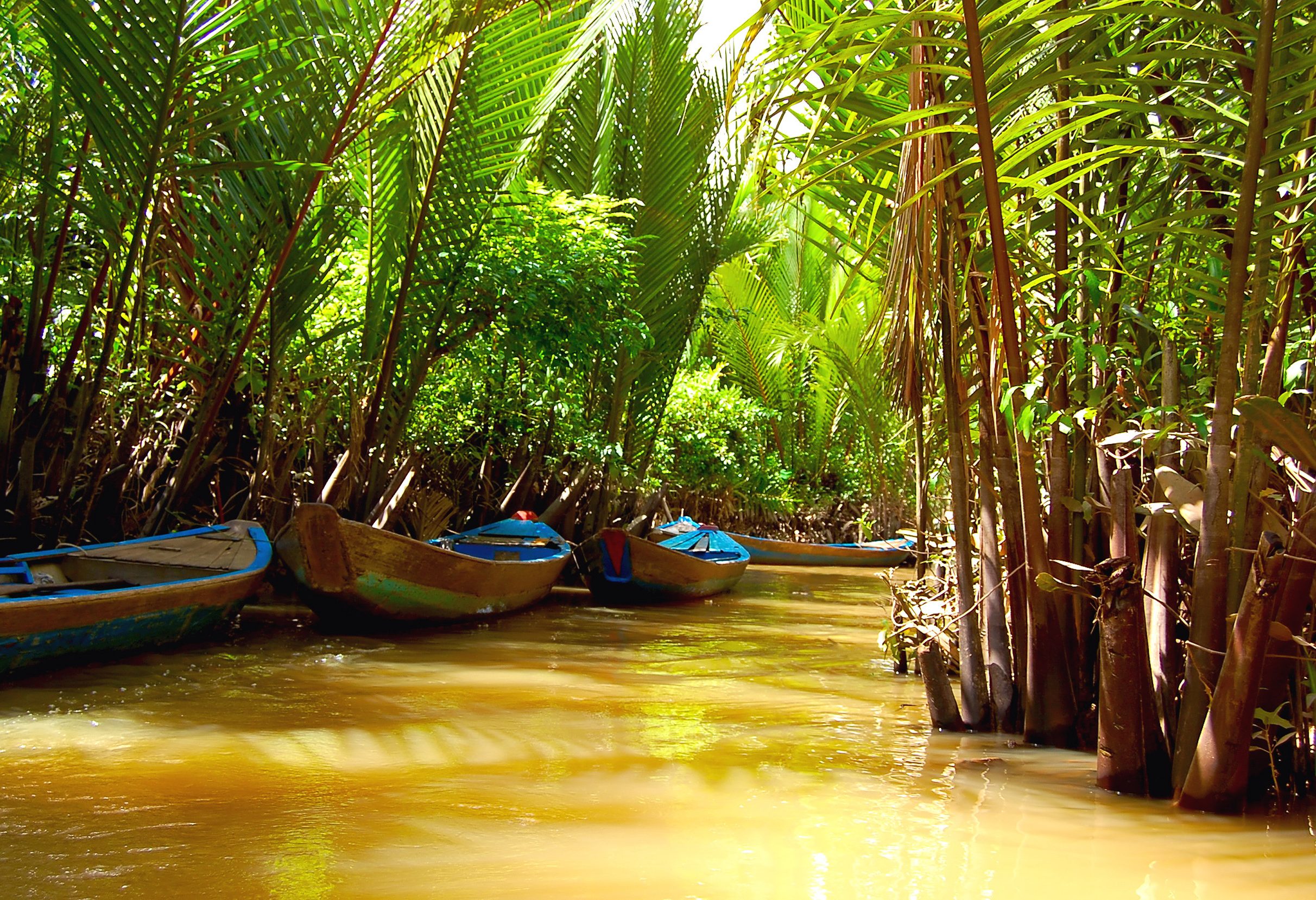Kanaaltjes in de Mekong Delta in Vietnam