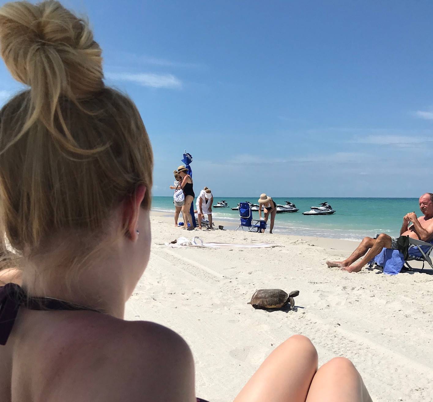 schildpad strand florida