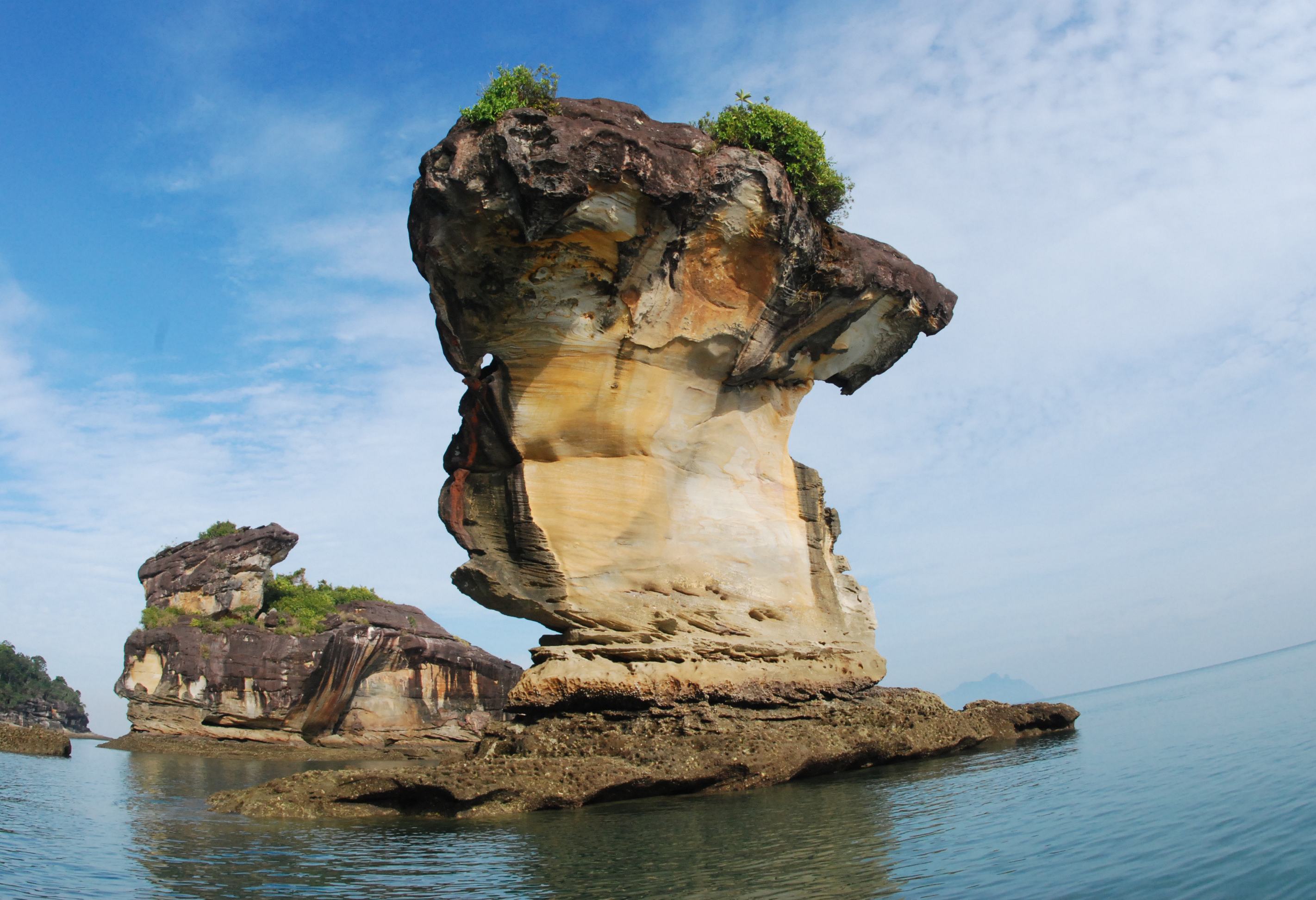 Bako National Park Sarawak Borneo