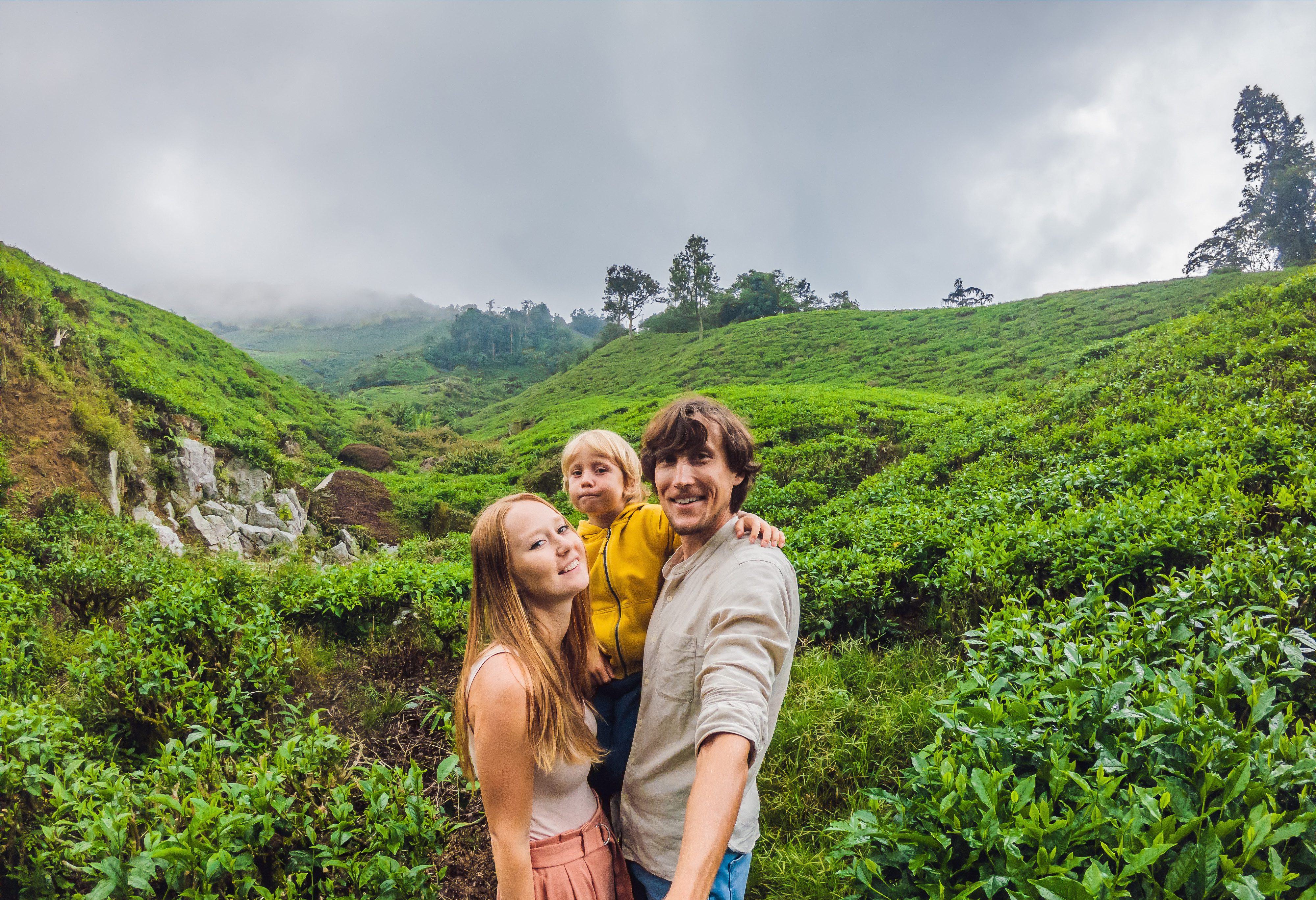 Theeplantages Cameron Highlands