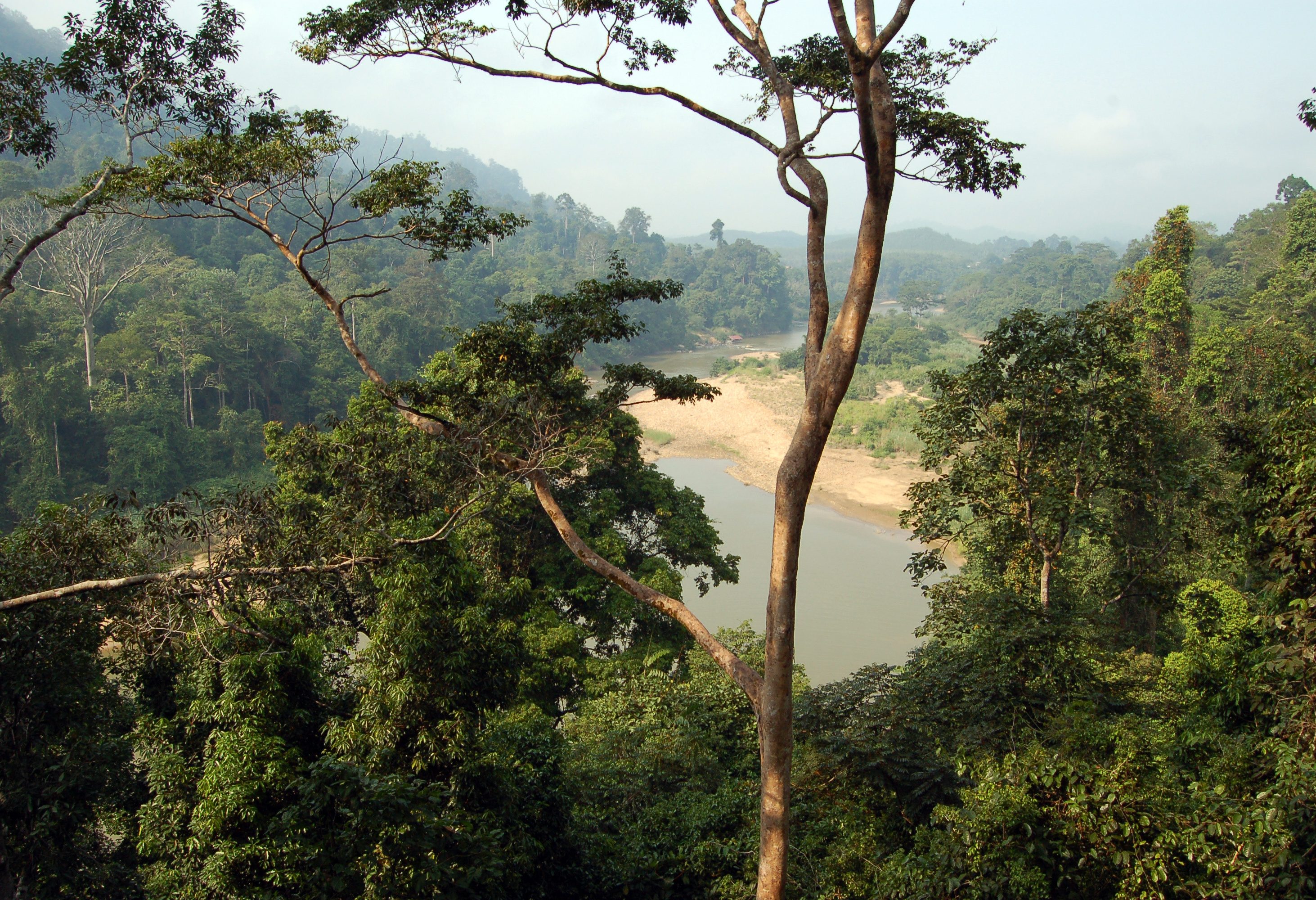 Mutiara Taman Negara Resort Maleisië