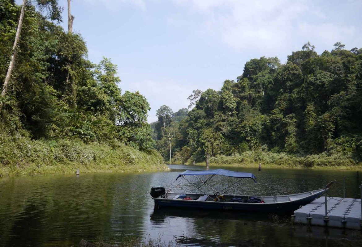 Royal Belum Nature Reserve Maleisië