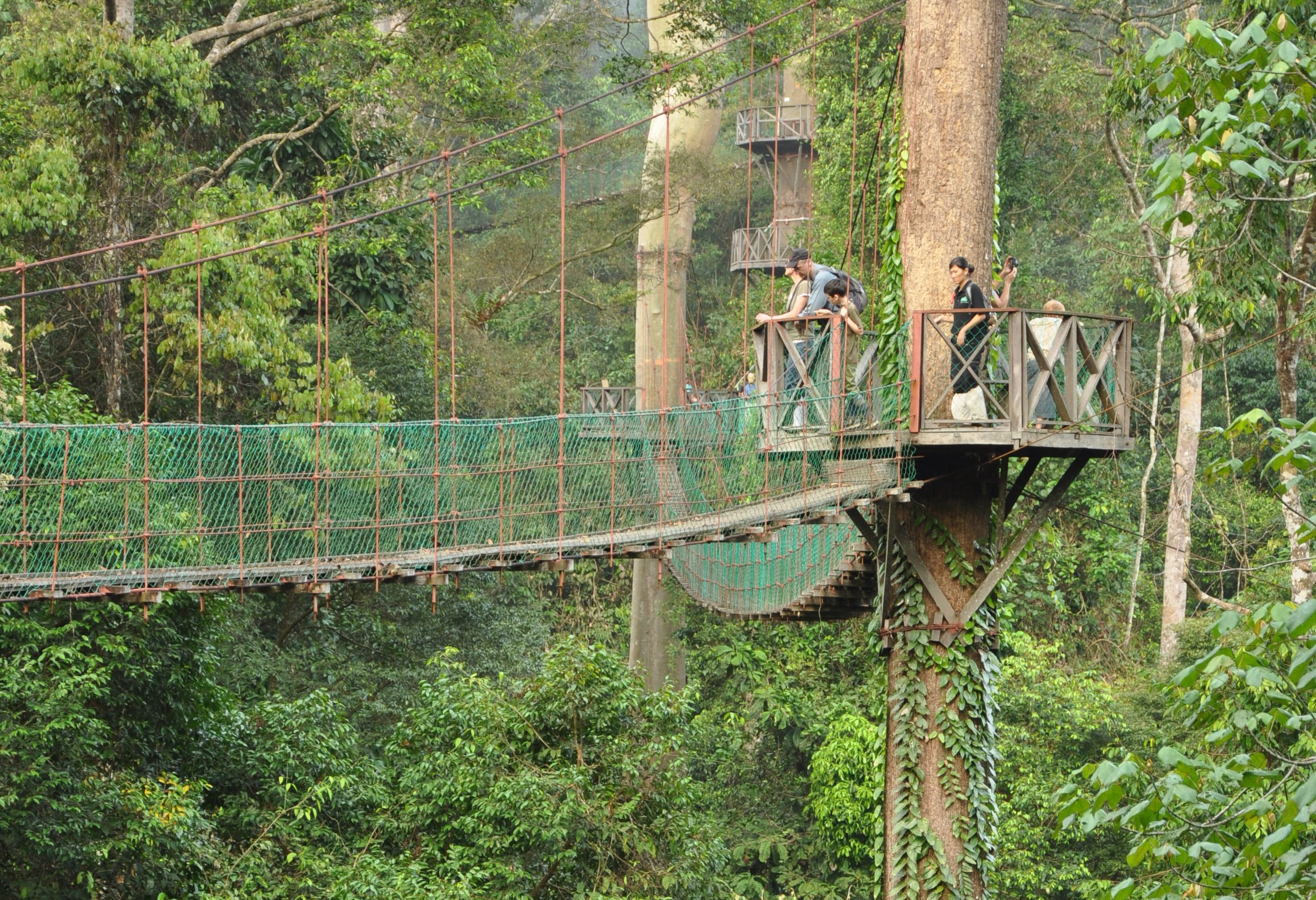 Danum Valley Borneo Rainforest Lodge canopy walk