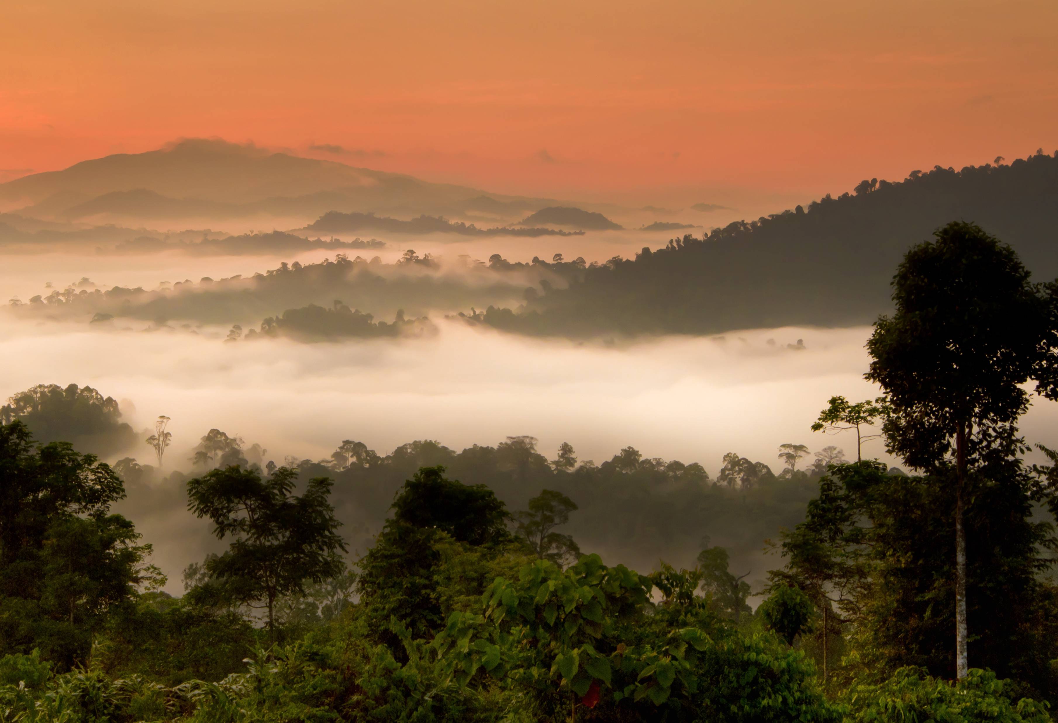 Danum Valley Borneo Rainforest Lodge