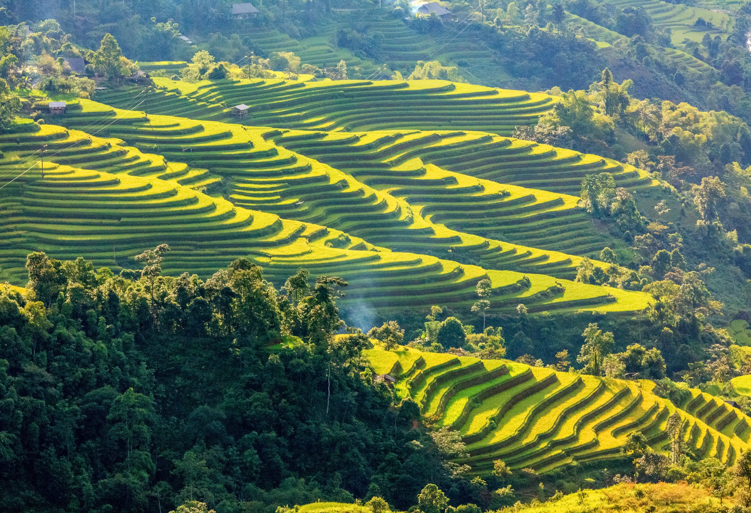 Hoang Su Phi rijstterrassen in de regio Ha Giang in Vietnam