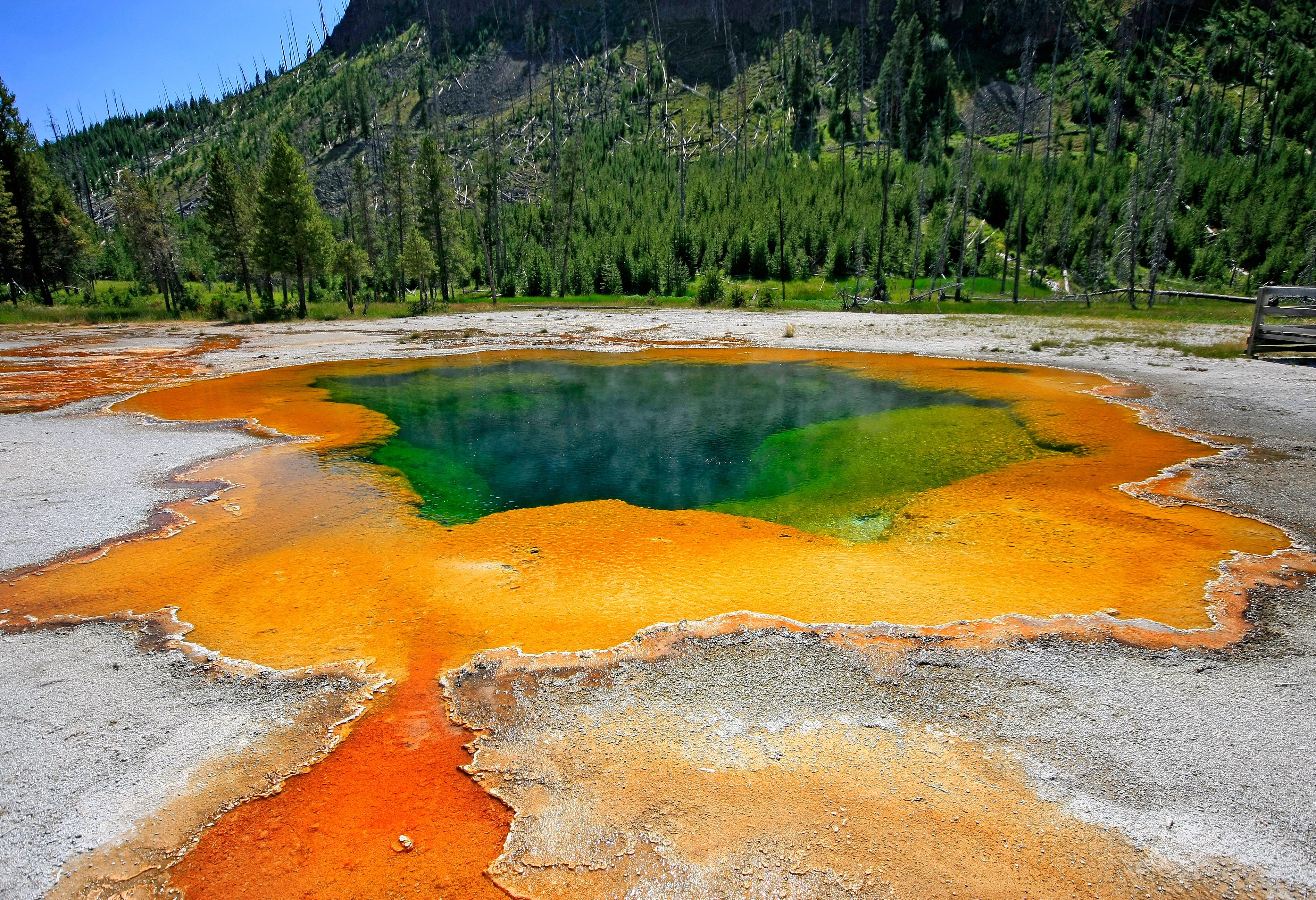 Zwavelmeer in Yellowstone National Park Amerika