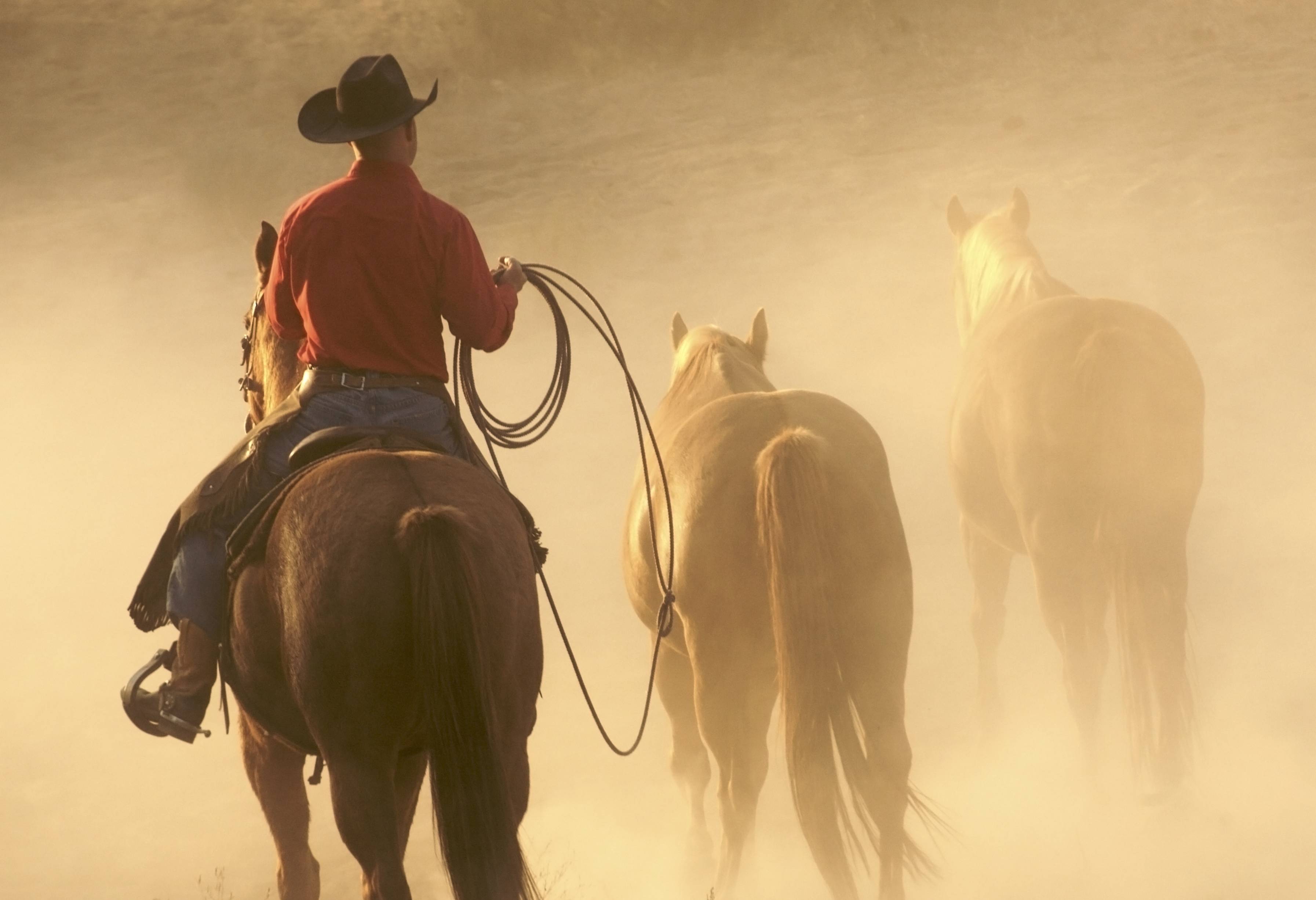 Cowboy in het wilde westen van Amerika