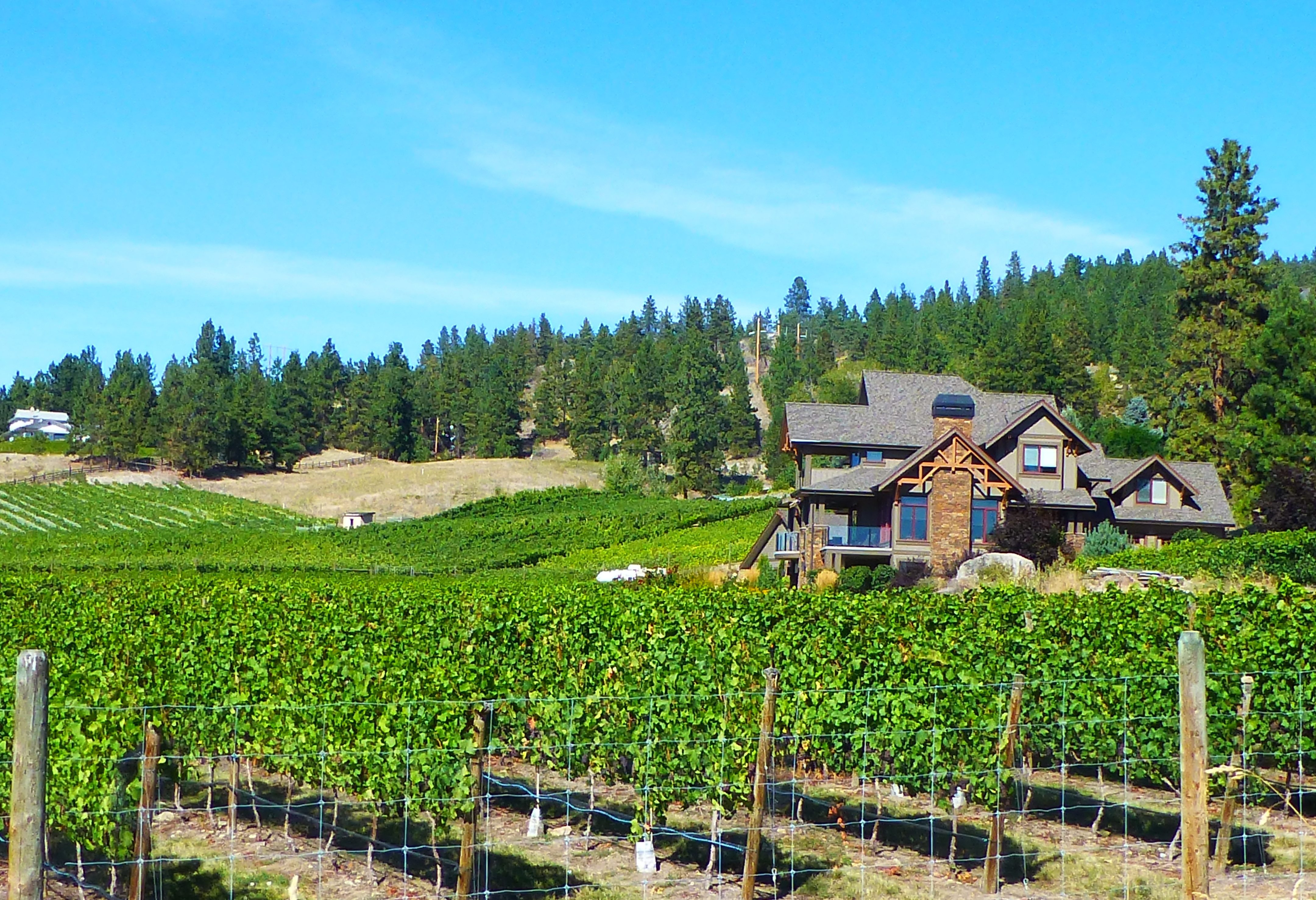 Okanagan Valley wijngaarden Canada