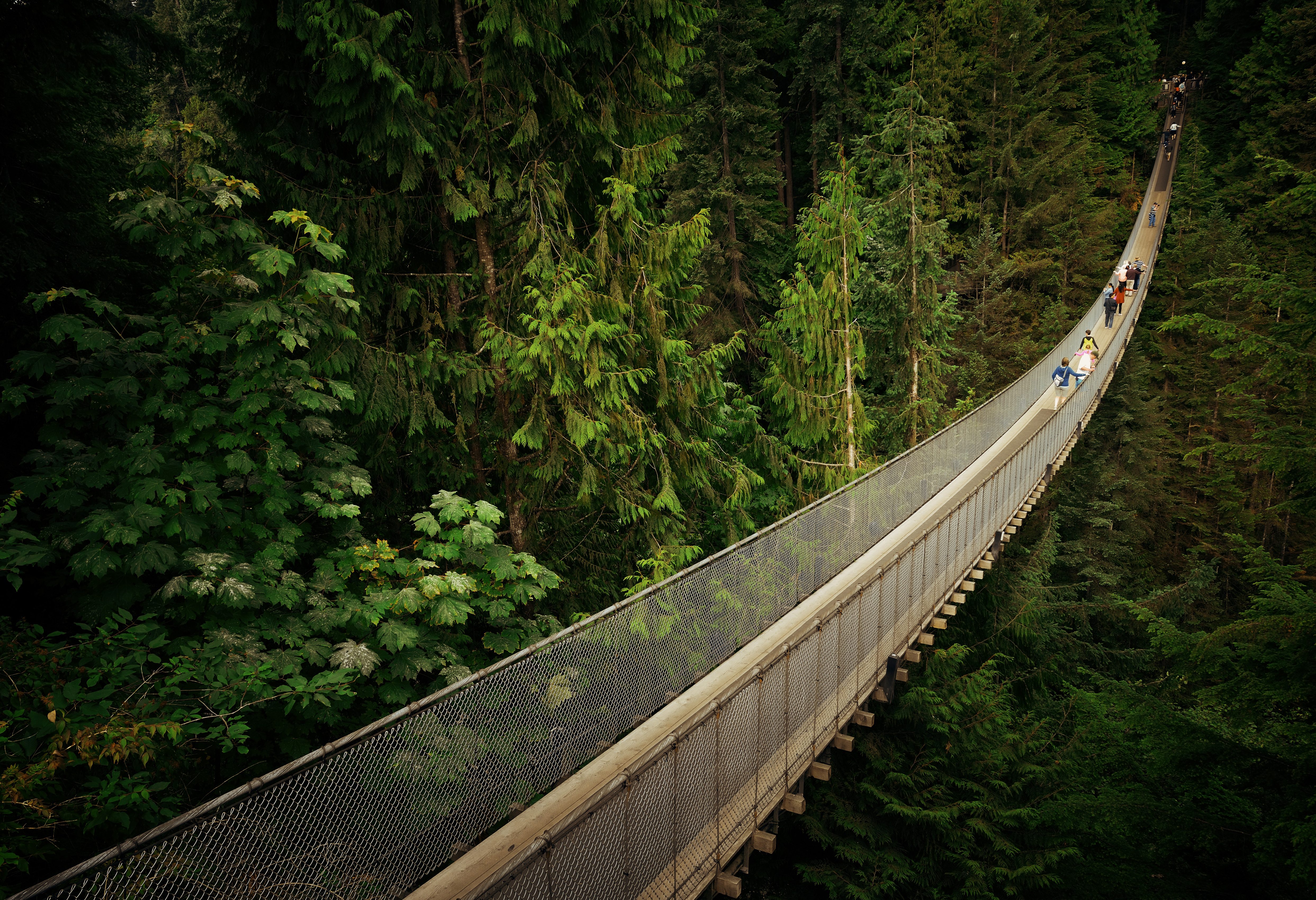 Capilano suspension bridge Vancouver Canada
